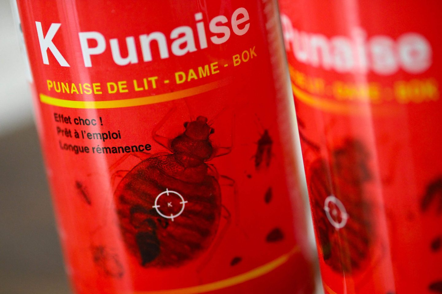 Paris is at war with bedbugs.