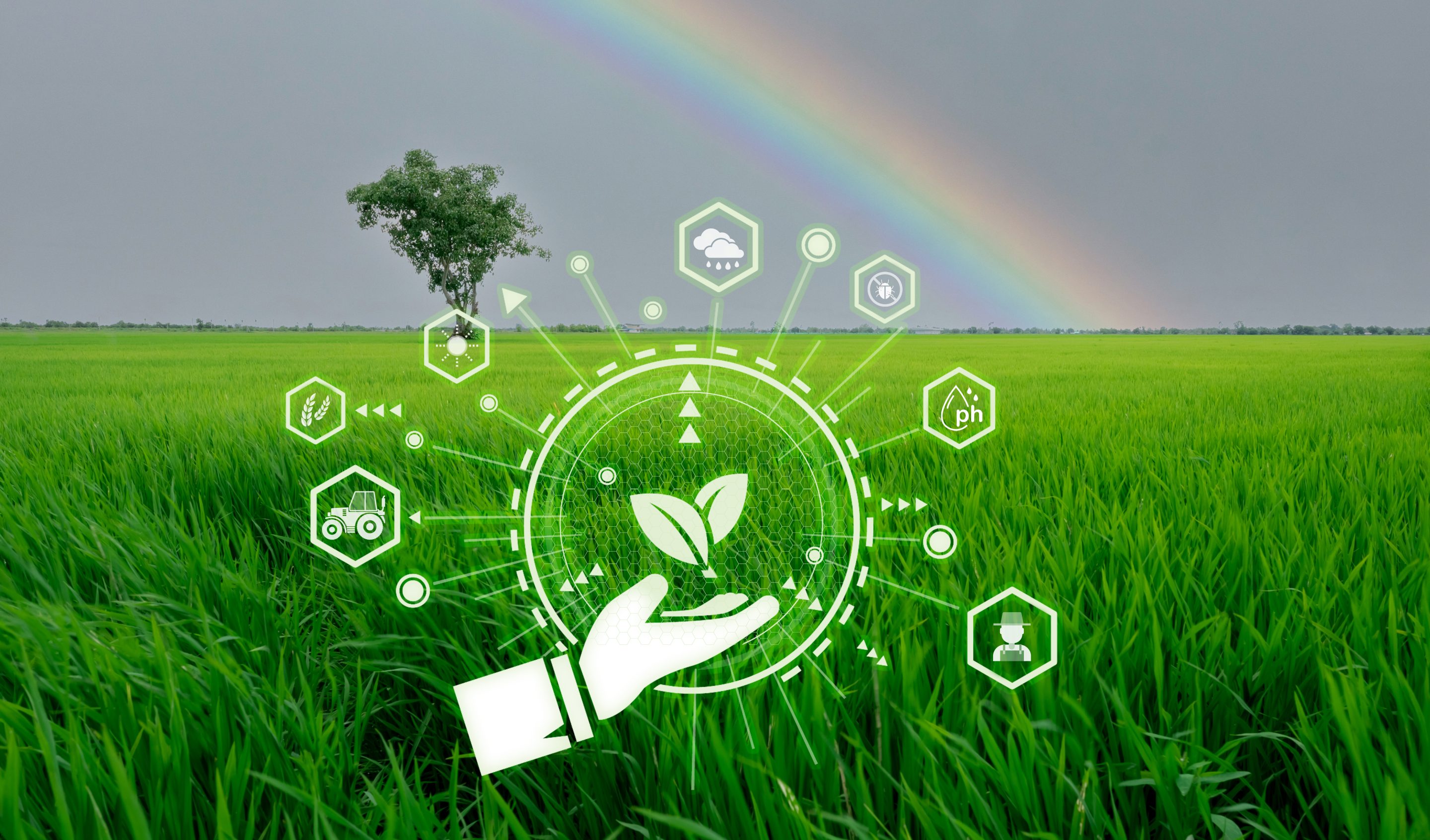 By applying AI to climate risk modeling, ClimateAi provides short- and long-term insights for food and beverage companies, helping businesses identify actions needed today to adapt to climate change disruptions.