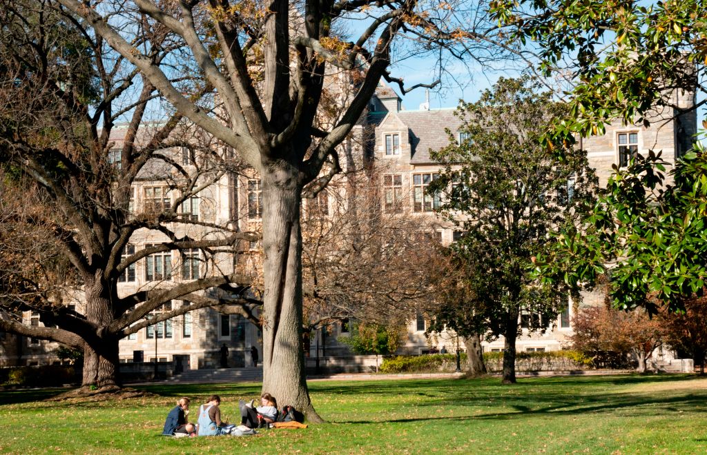 What top online psychology master’s programs are looking for in applicants