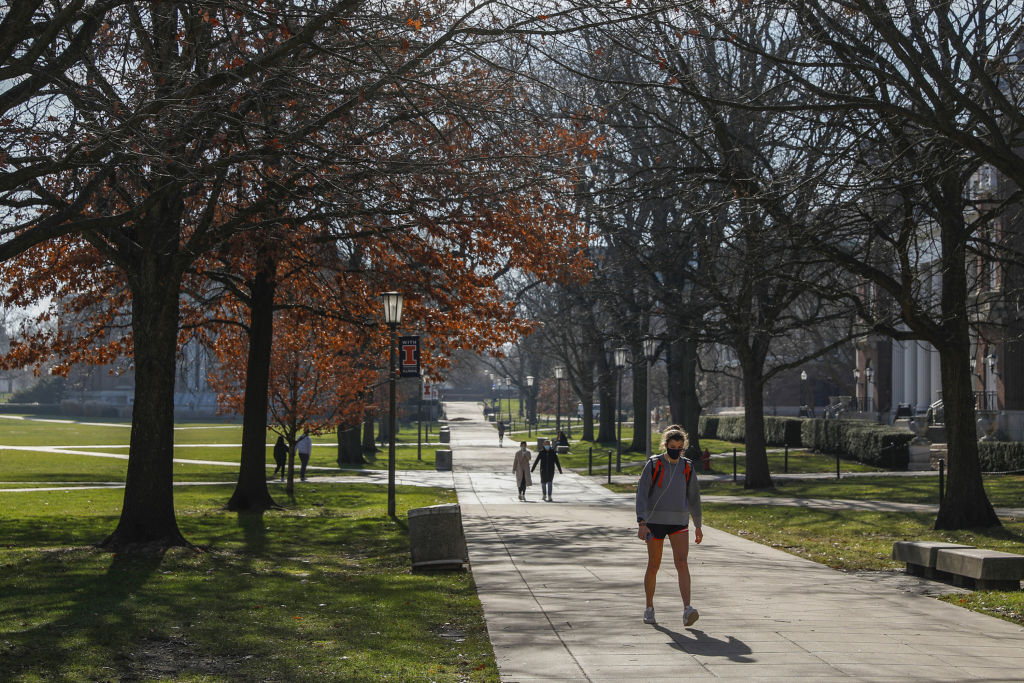 Who should get an online master’s degree in public health?