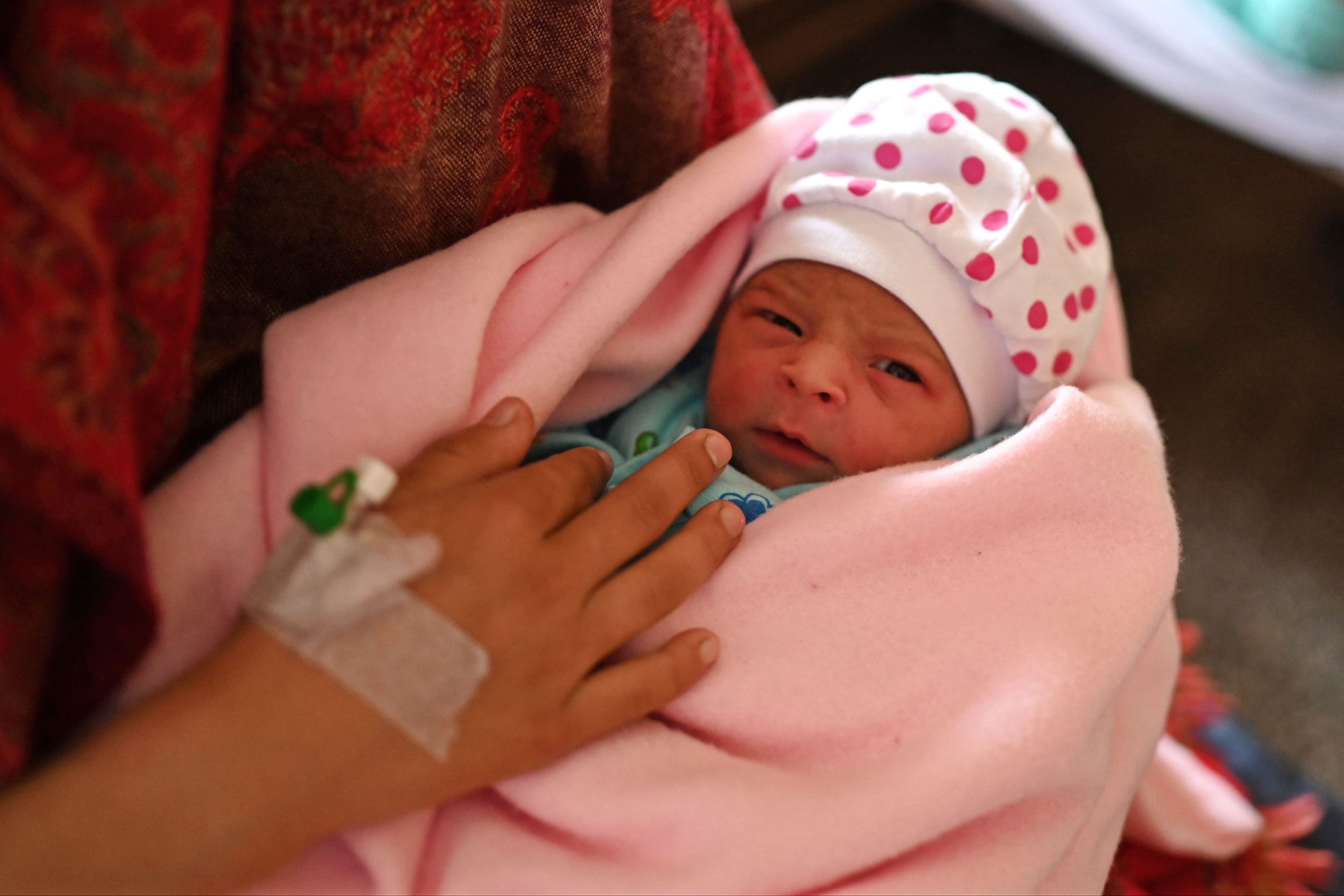 World population will exceed 8 billion at the start of 2024.