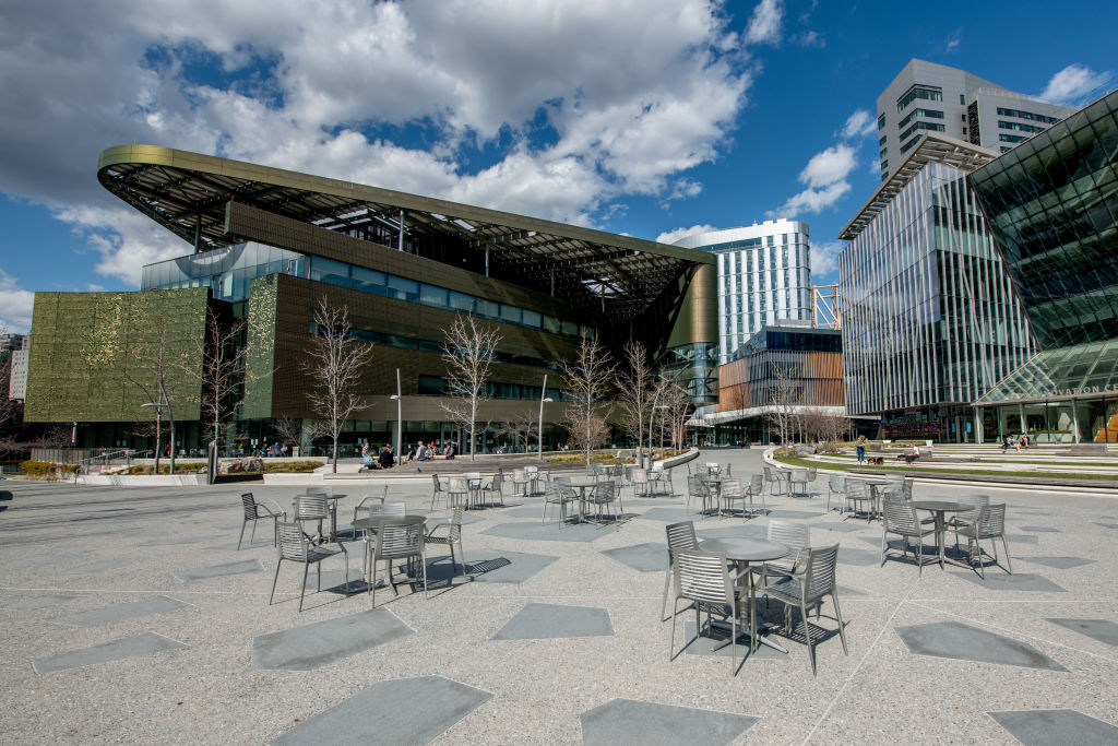 Online or on-campus: Weighing the pros and cons for a business analytics graduate degree
