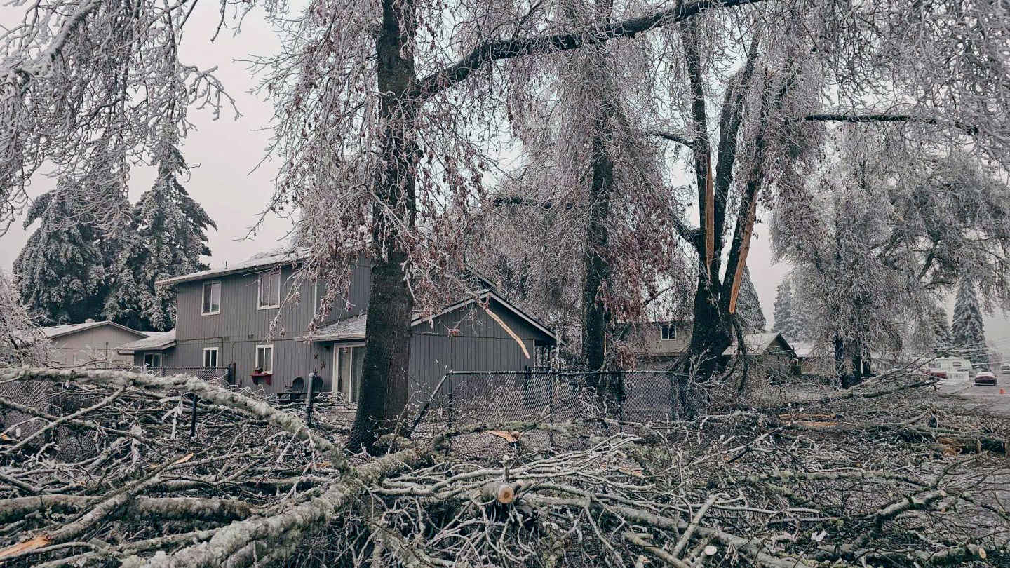 Deadly January storms have turned U.S. roads into icy death traps, kill at least 45 from Oregon to Tennessee and sent a plane skidding off a runway