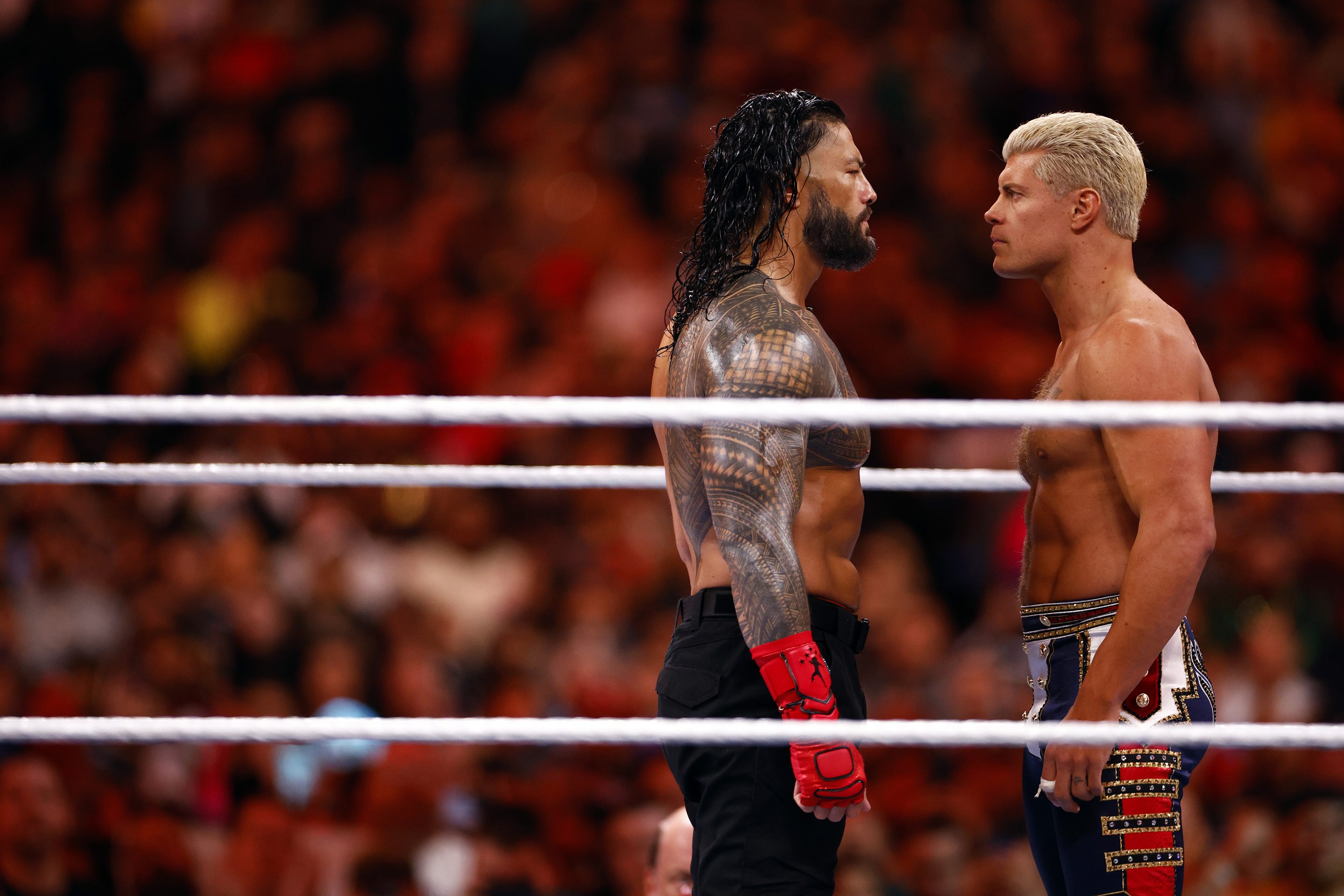 Roman Reigns and Cody Rhodes will be facing off on Netflix starting next year.
