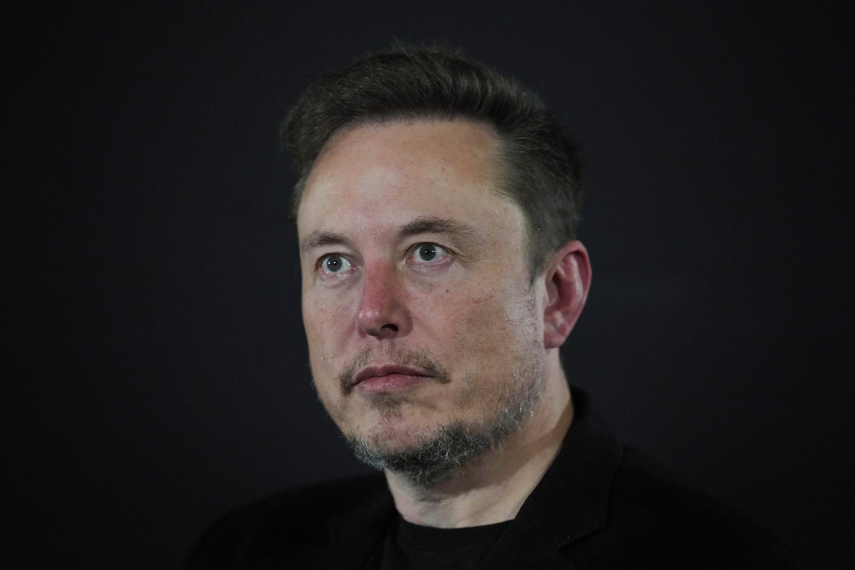 Former CNN reporter Don Lemon mixed it up with Elon Musk (above) in an interview Lemon posted on Musk's X social network on March 18, 2024. 