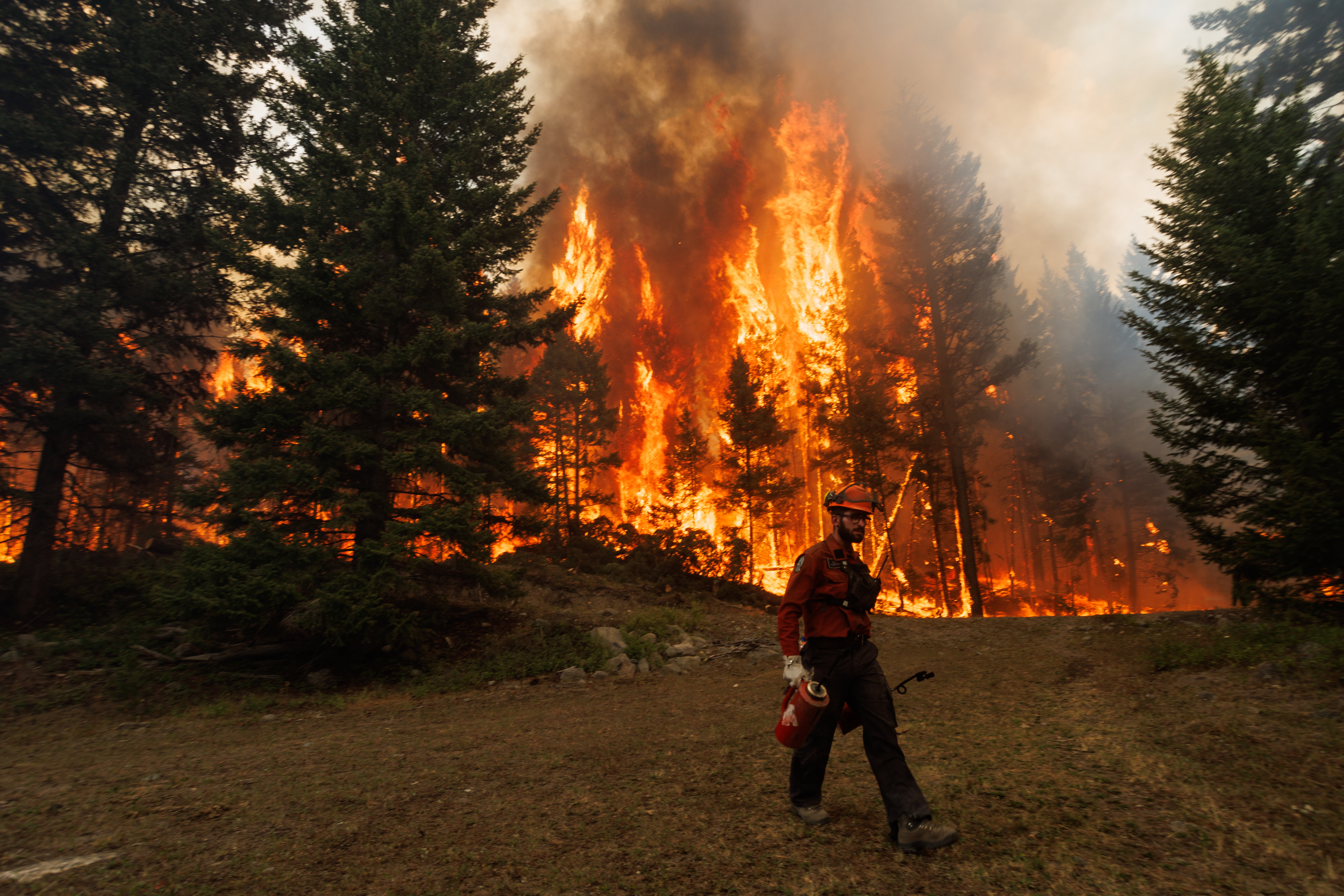 Last year, record temperatures and drought ignited wildfires across the world.