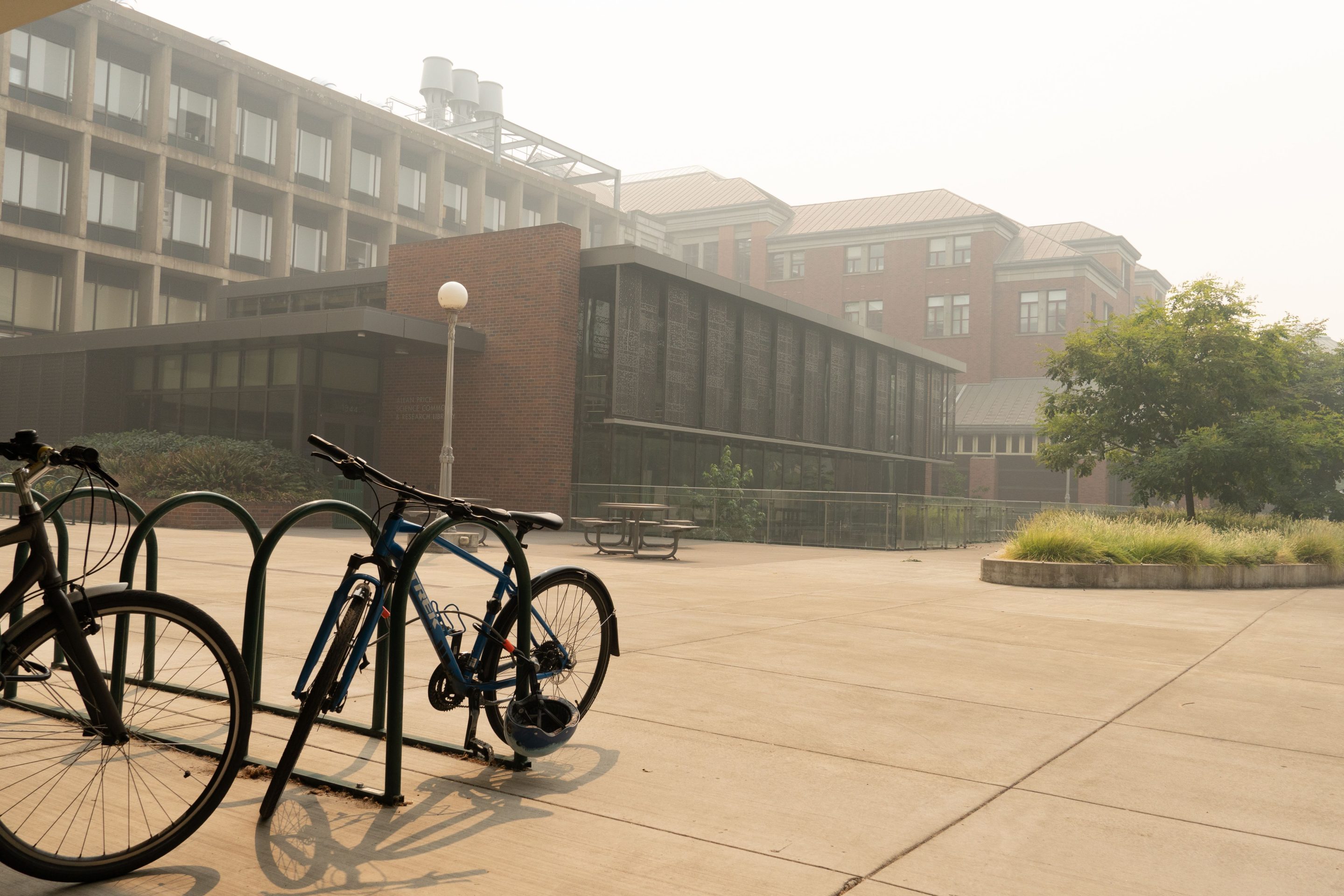 Campuses emptied during the pandemic—and students have returned in far lesser numbers.