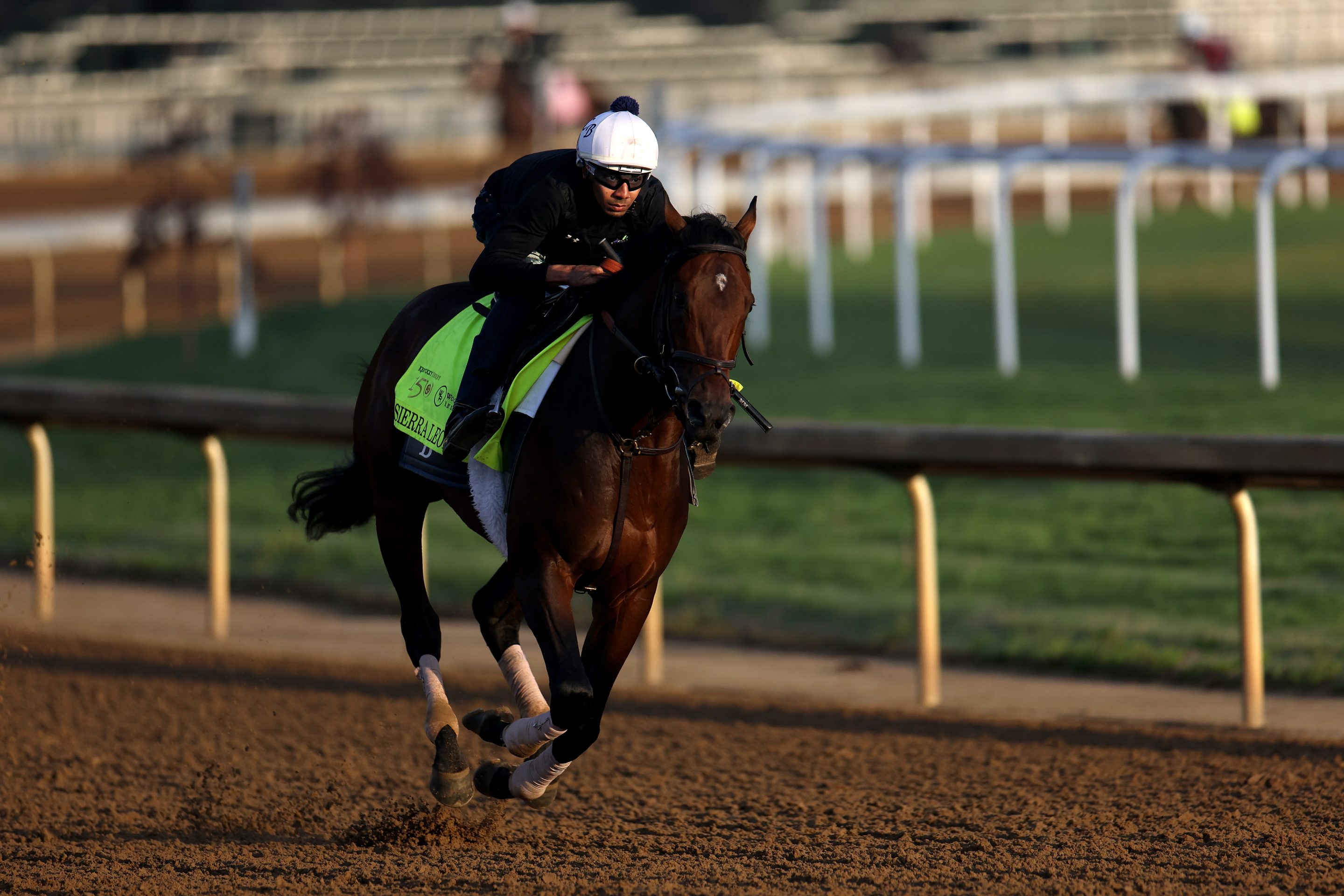 Sierra Leone is the odds on favorite to win this year's Kentucky Derby
