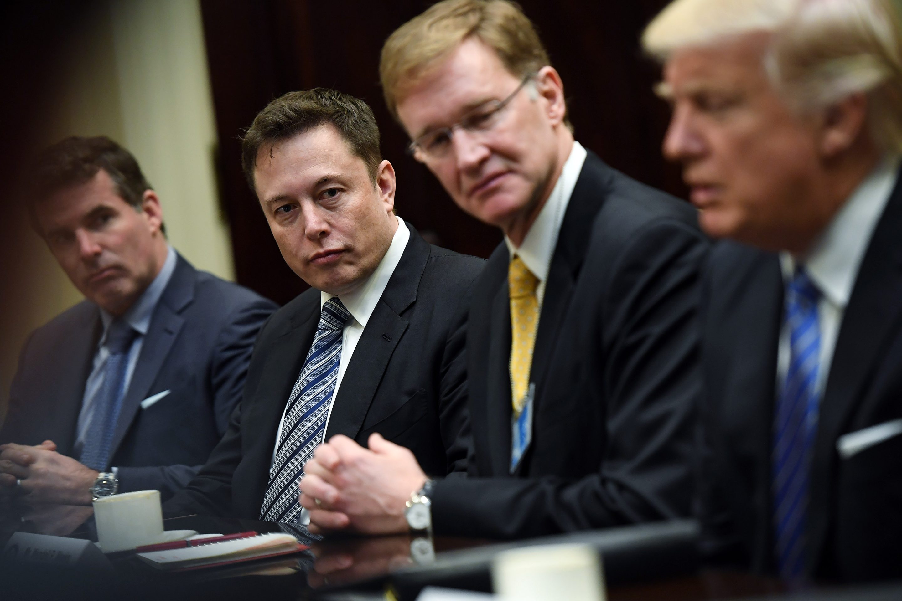 Elon Musk might become a presidential advisor if Trump wins in November.