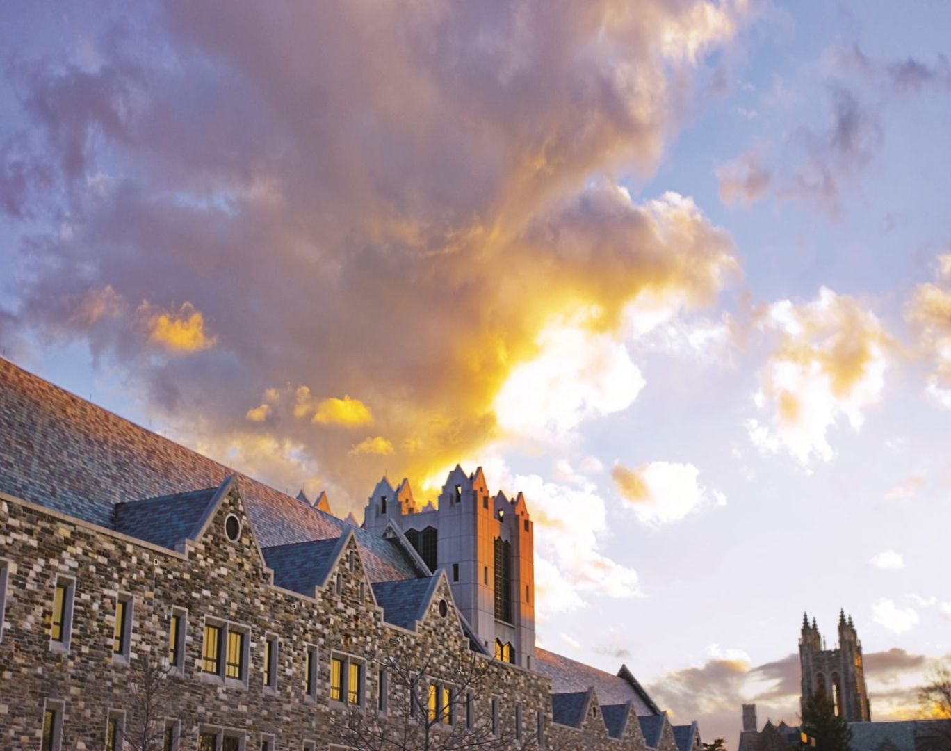 41. Saint Joseph's University (Haub)