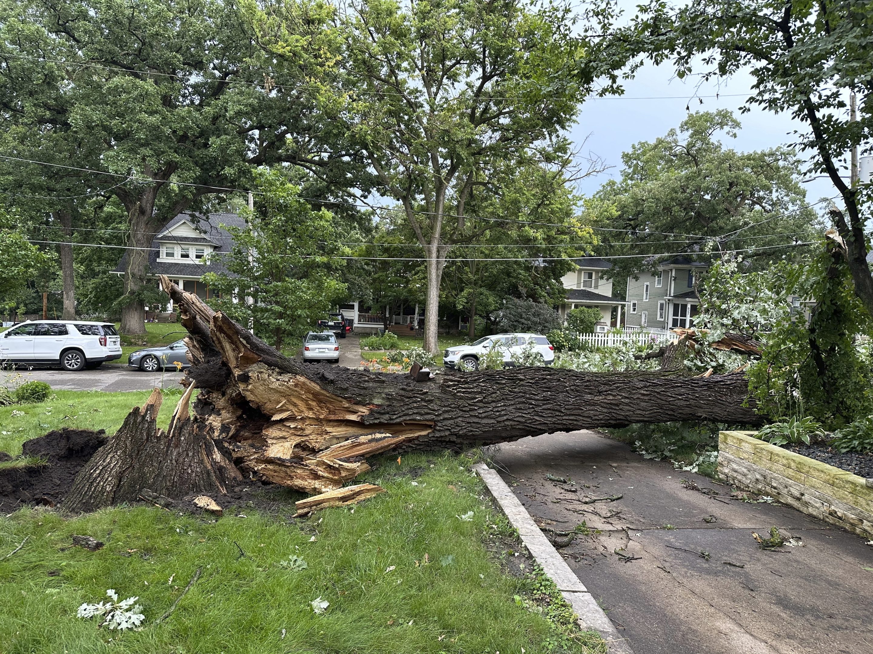 A downed tree lies across a driveway after strong winds hit Des Moines, Iowa, on July 15, 2024.
