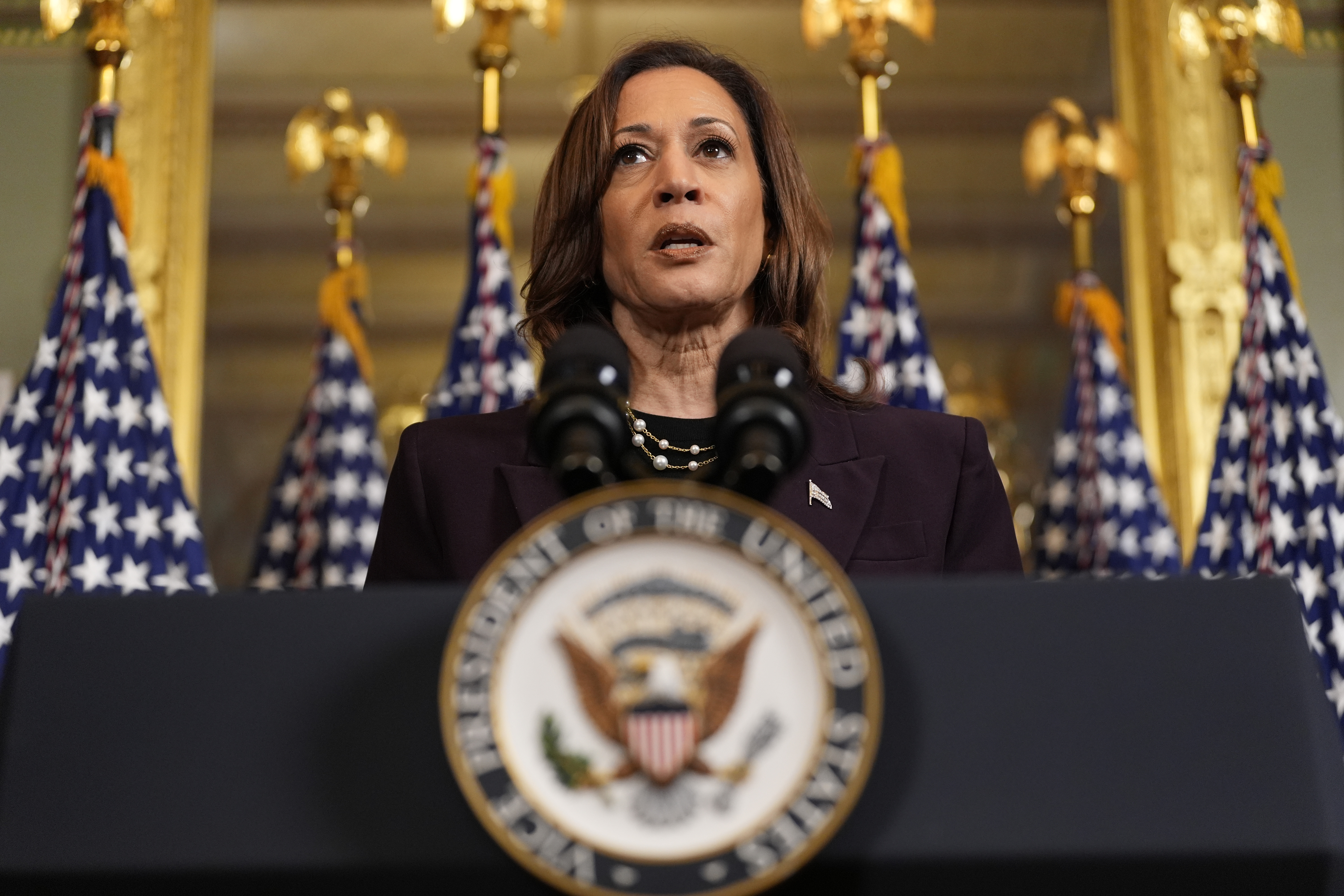 Vice President Kamala Harris speaks following a meeting with Israeli Prime Minister Benjamin Netanyahu at the Eisenhower Executive Office Building on the White House complex in Washington, on July 25, 2024.
