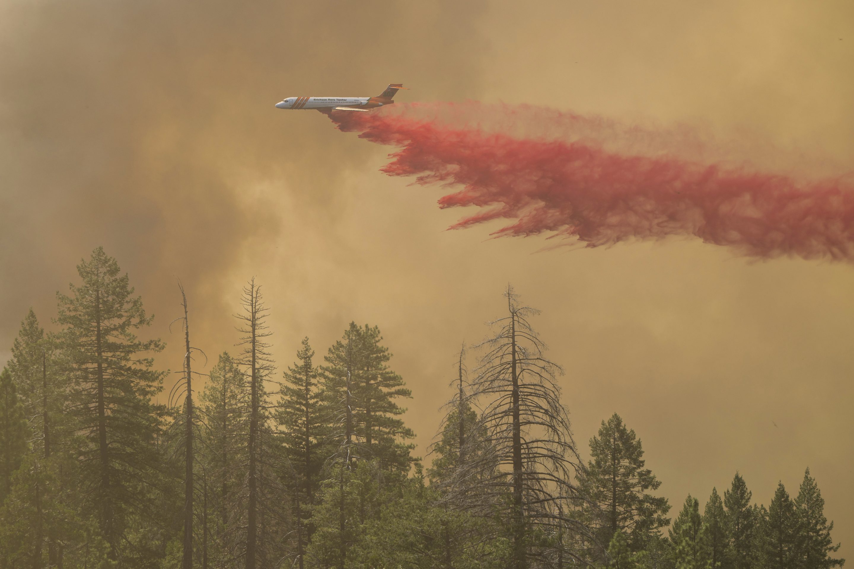 A plan drops fire retardant on the Park Fire near Forest Ranch, Calif., on July 28, 2024.