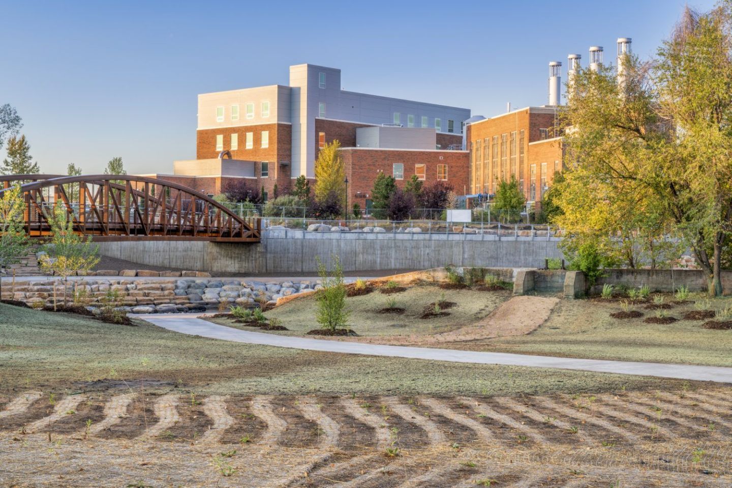 24. Colorado State University
