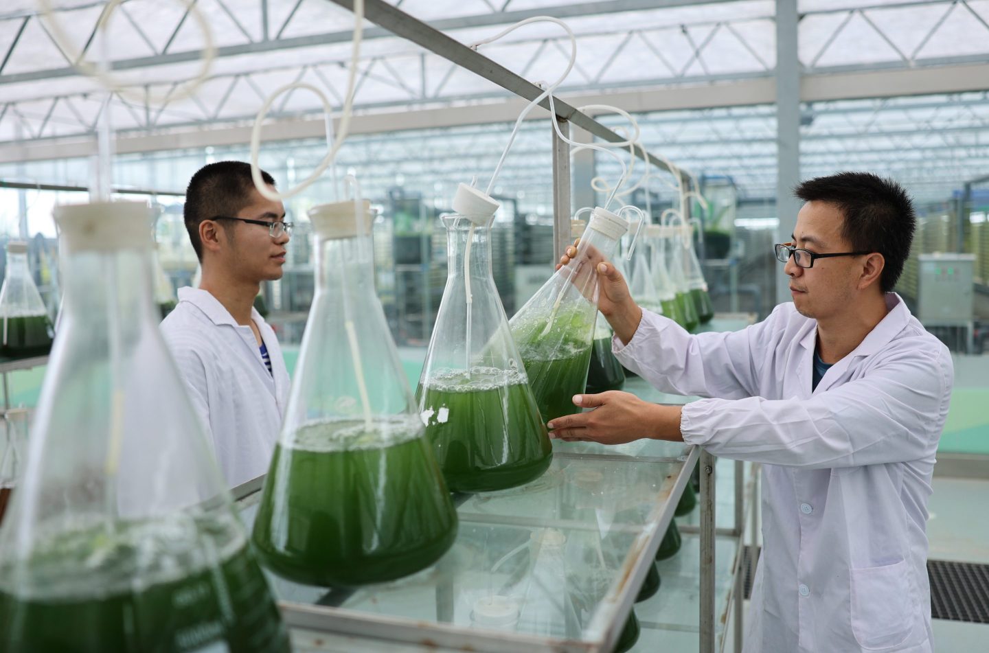 Washington’s scrutiny of Chinese and Chinese American scientists is hurting their productivity—and global scientific cooperation