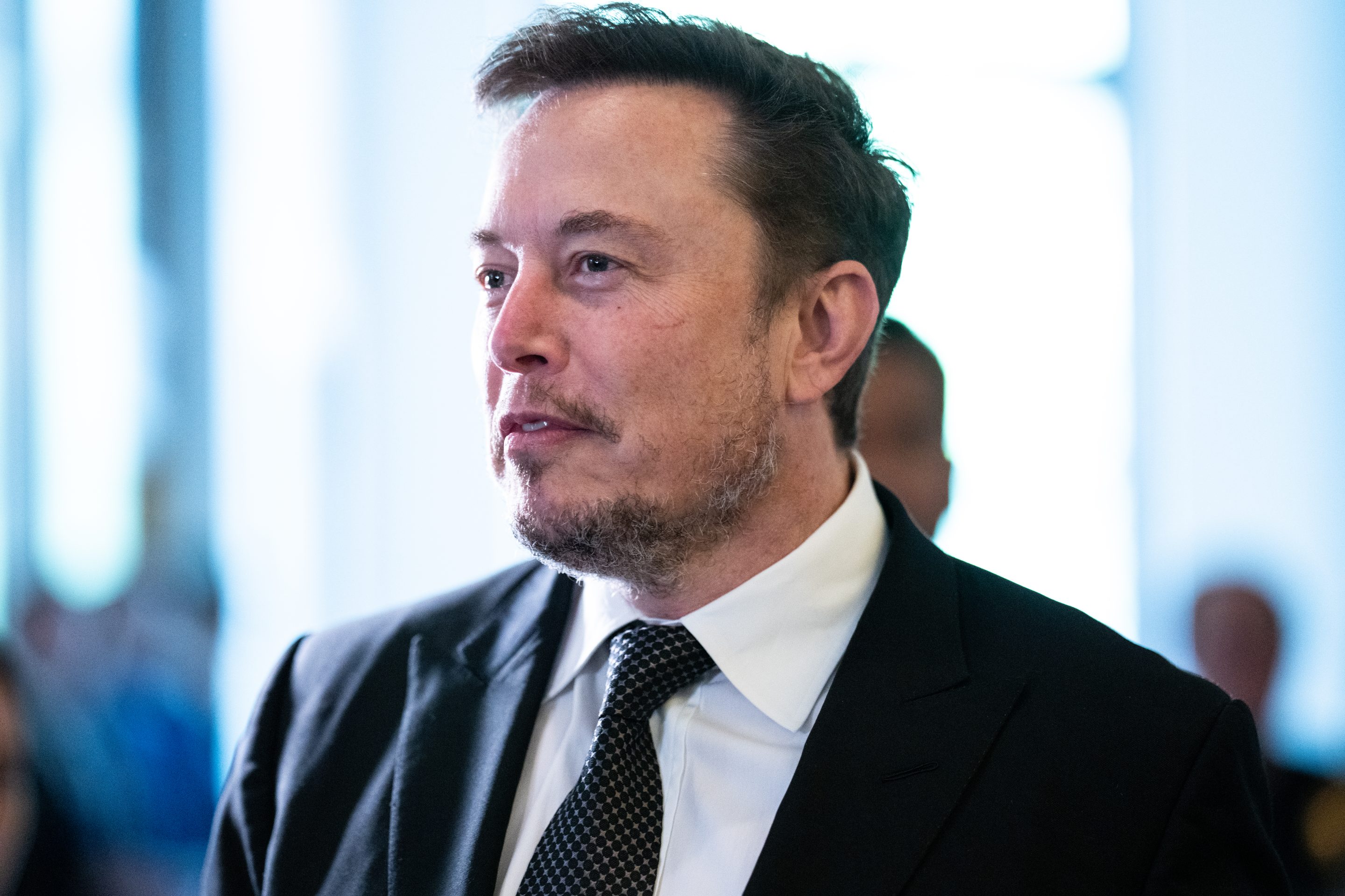 Elon Musk, CEO of Tesla.