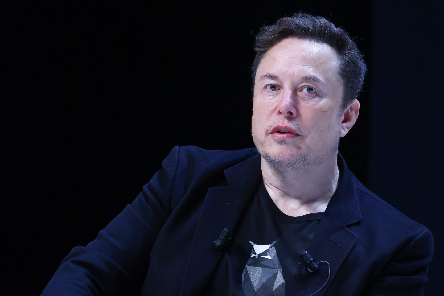 Elon Musk ghosts India on new Tesla factory investment