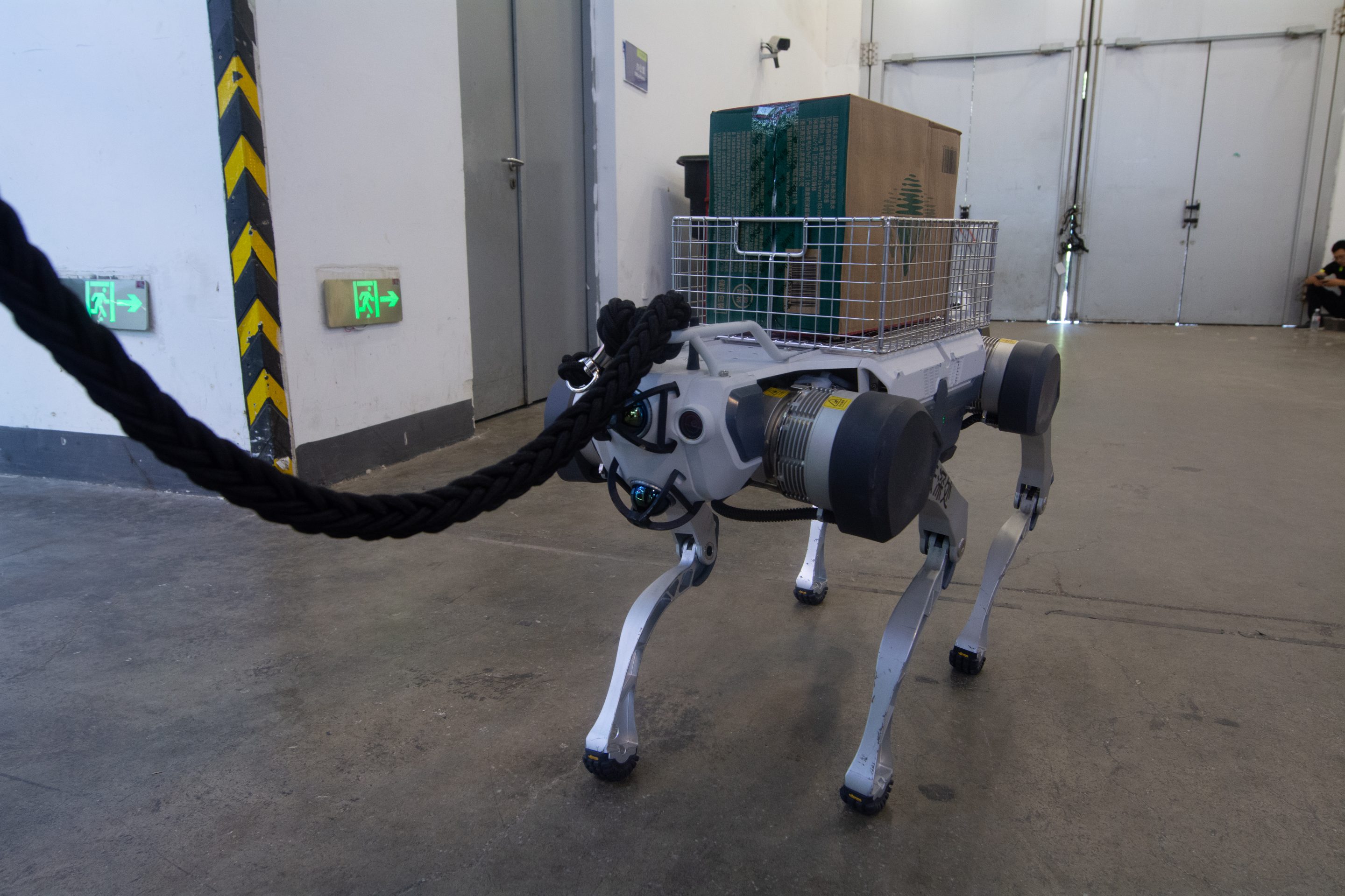DHS is adding robotic dogs to its roster.