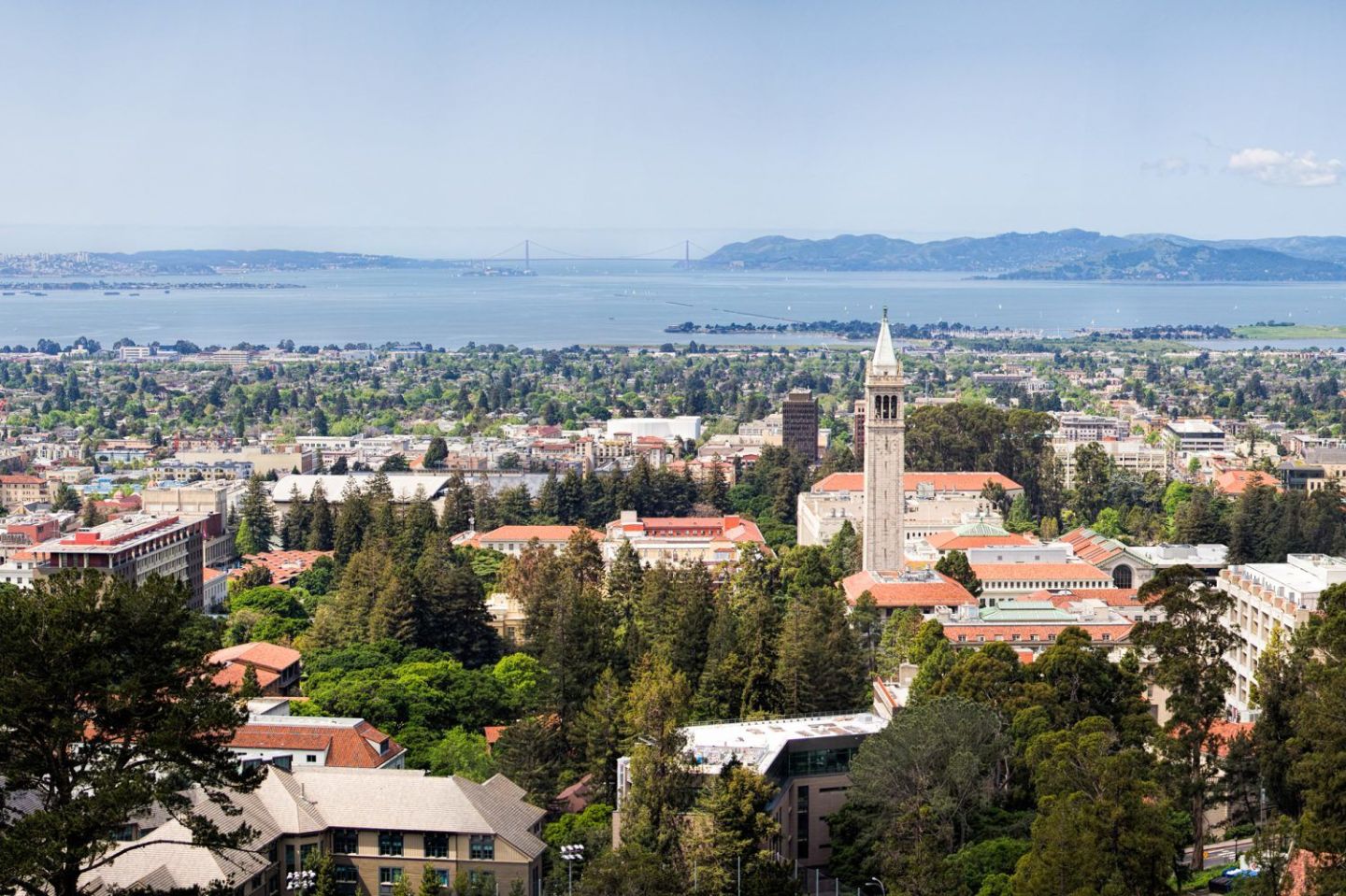 1. University of California—Berkeley