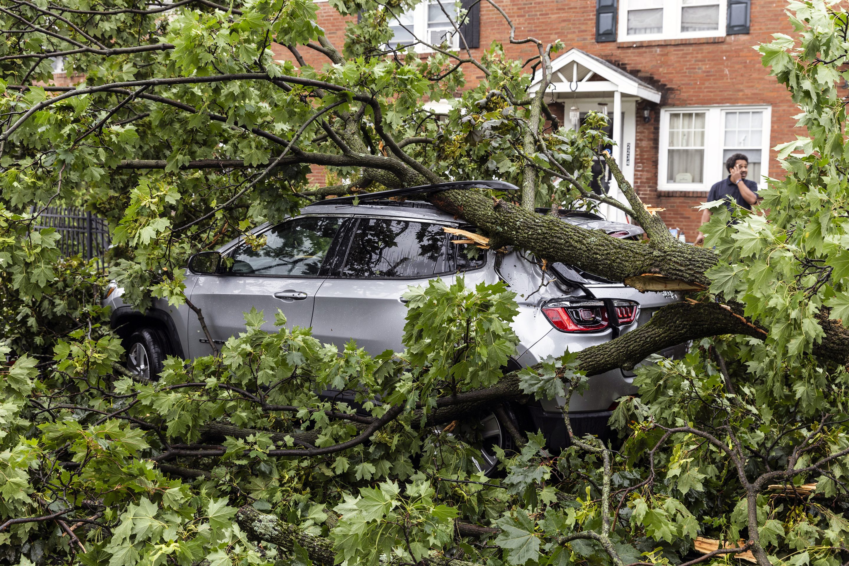 A vehicle is covered by a tree in Harrisburg, Pa., after extreme weather from Tropical storm Debby, on Aug. 9, 2024. 