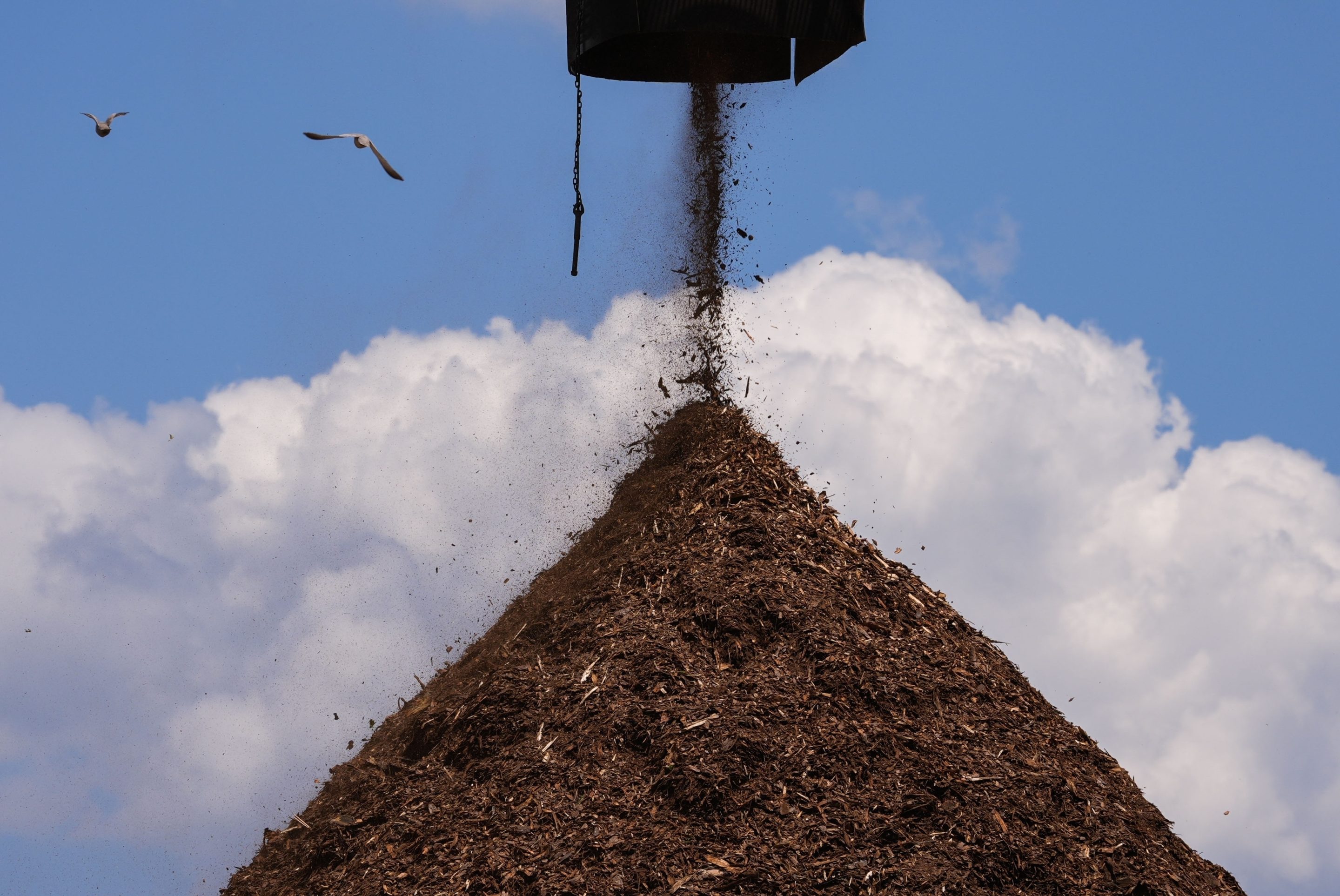 A pile of wood used to make pellets