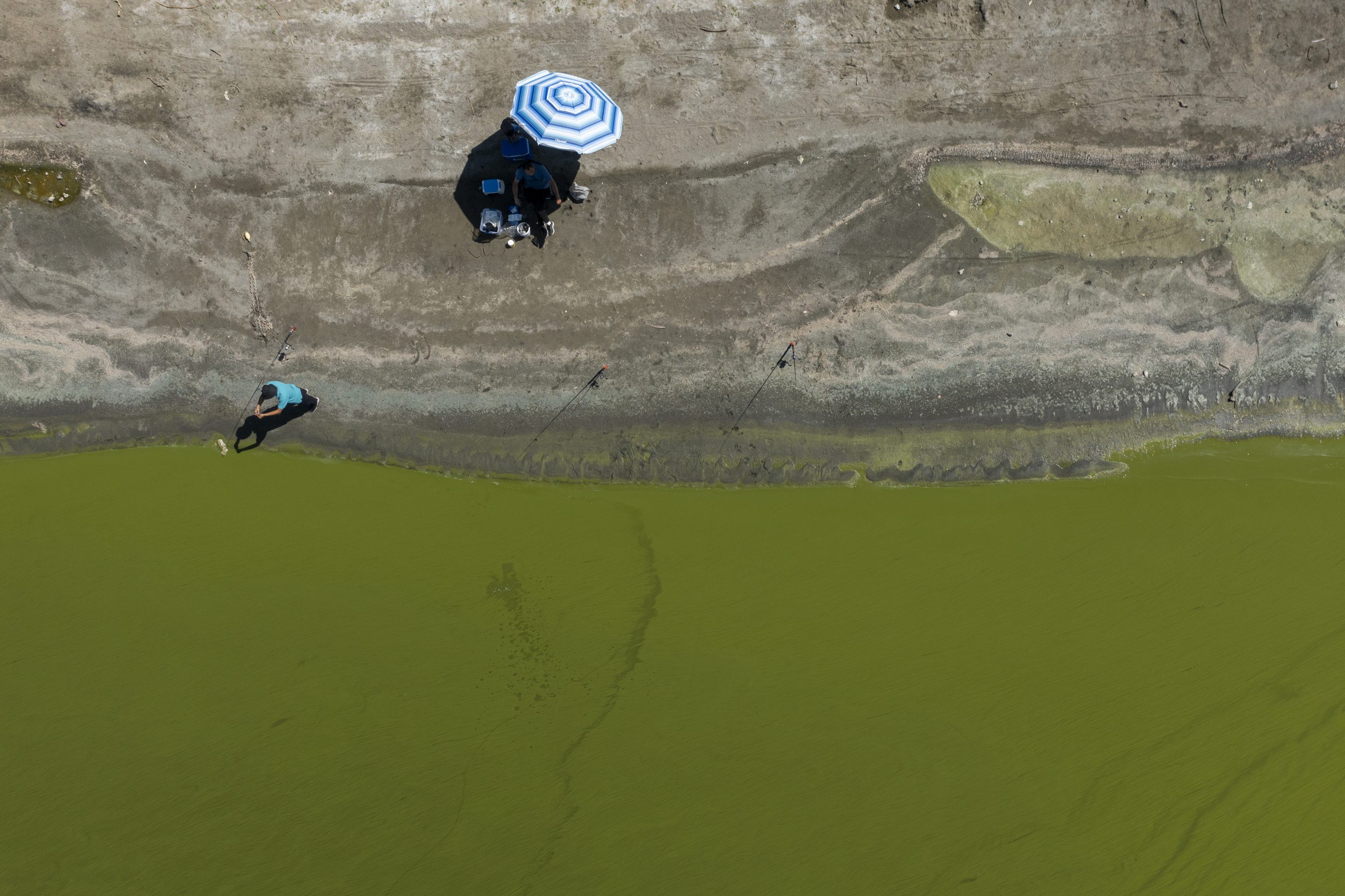 people fish in green water