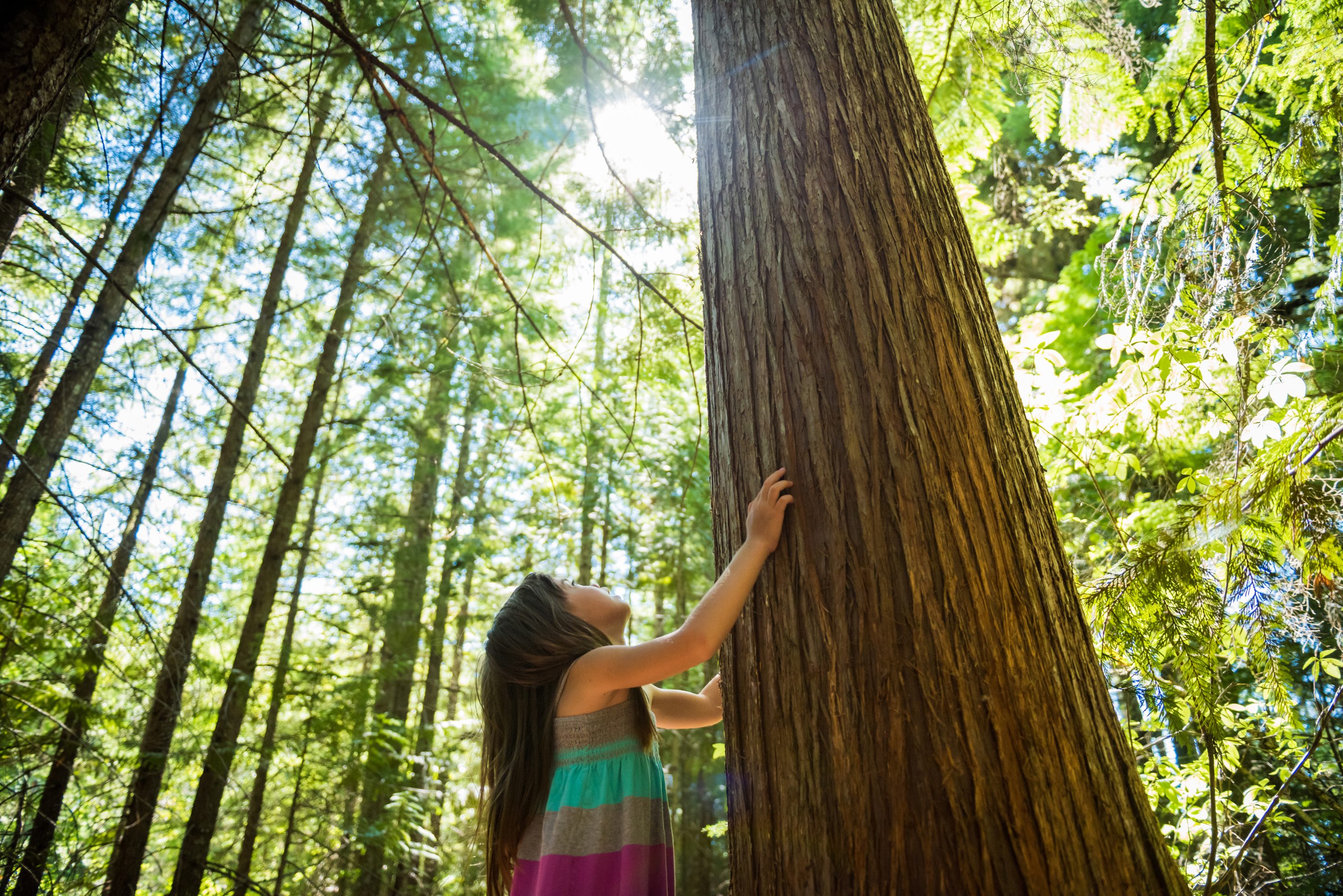 Climate doom narratives may be backfiring, but ESG advocates are betting on childlike wonder to reengage the public.
