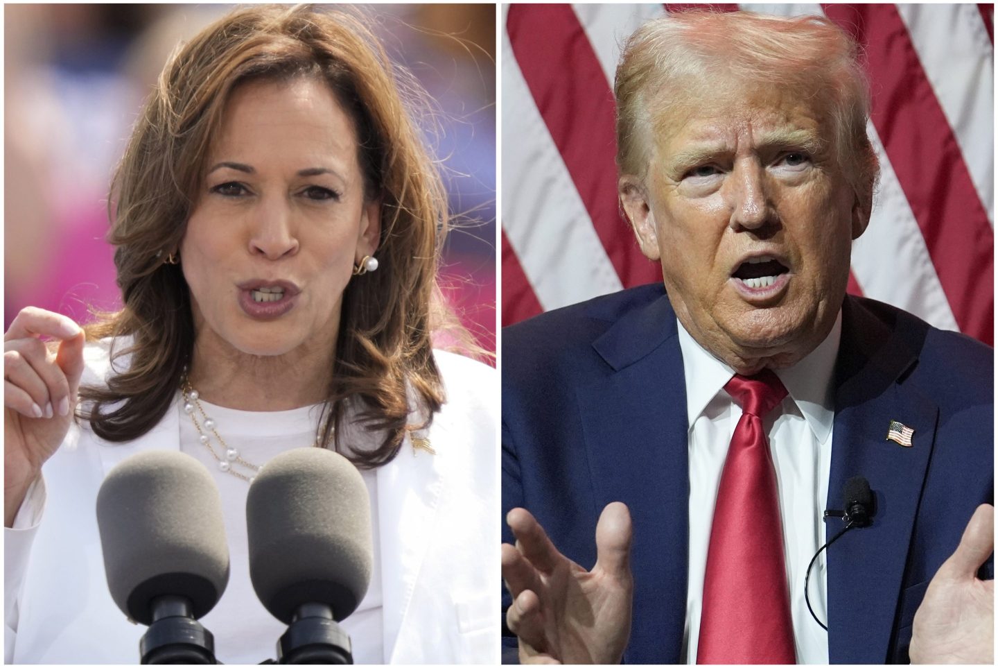 Americans see gender as bigger hurdle for Harris than Clinton