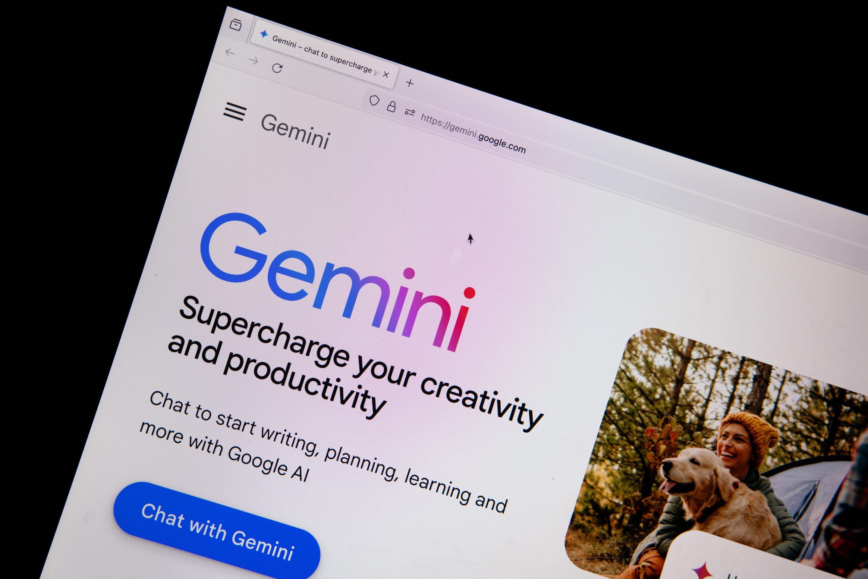A Google Gemini generative artificial intelligence webpage