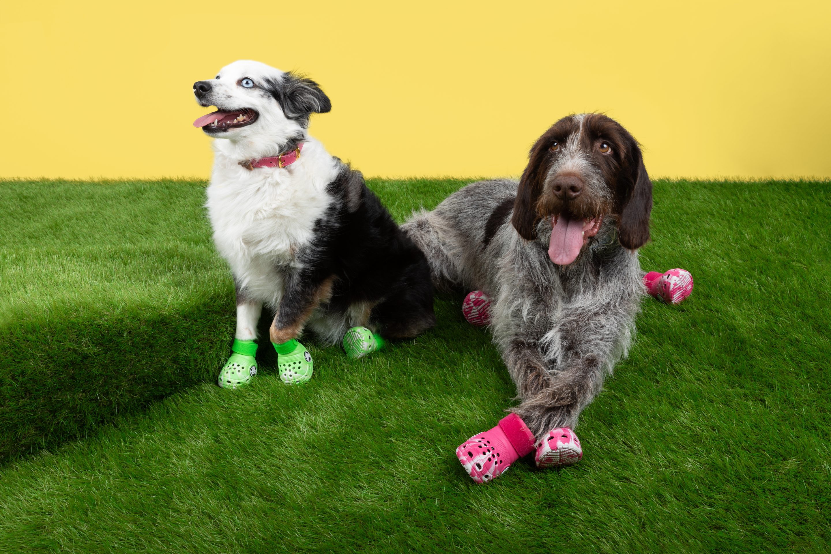 Crocs is making footwear for pups. 