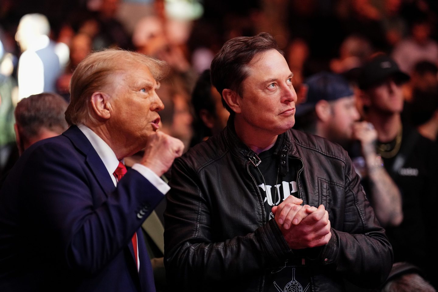 President-elect Donald Trump and Elon Musk talk ring side during the UFC 309 event at Madison Square Garden on November 16.