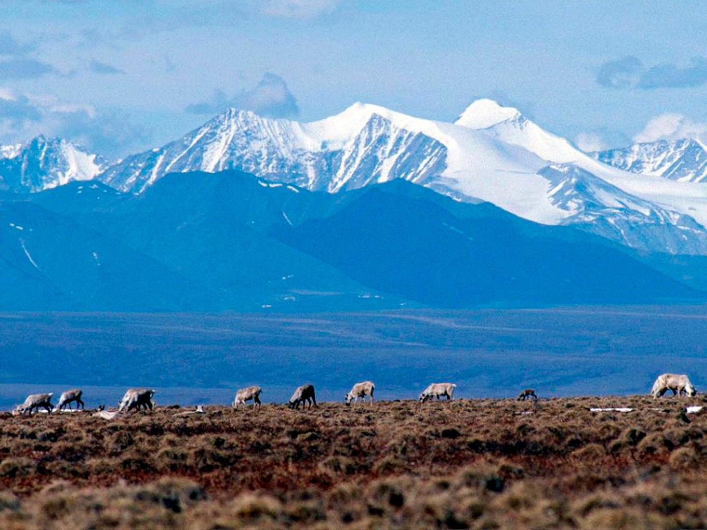 Biden approves minimum oil lease sale required by law in Alaska’s Arctic refuge