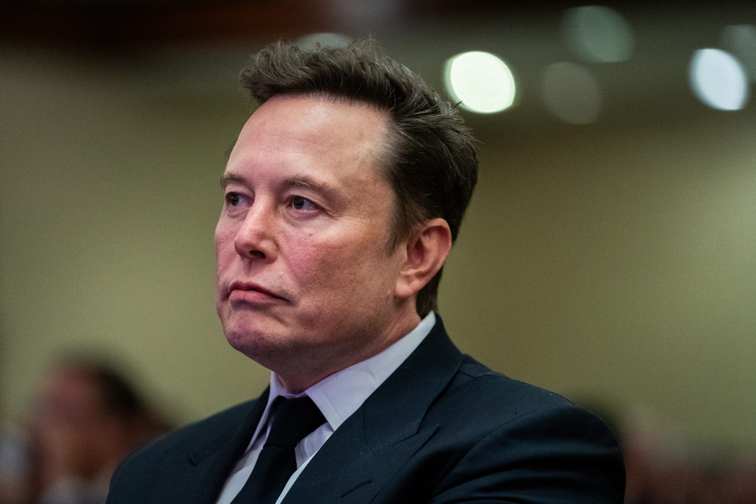 Elon Musk in November 2024.