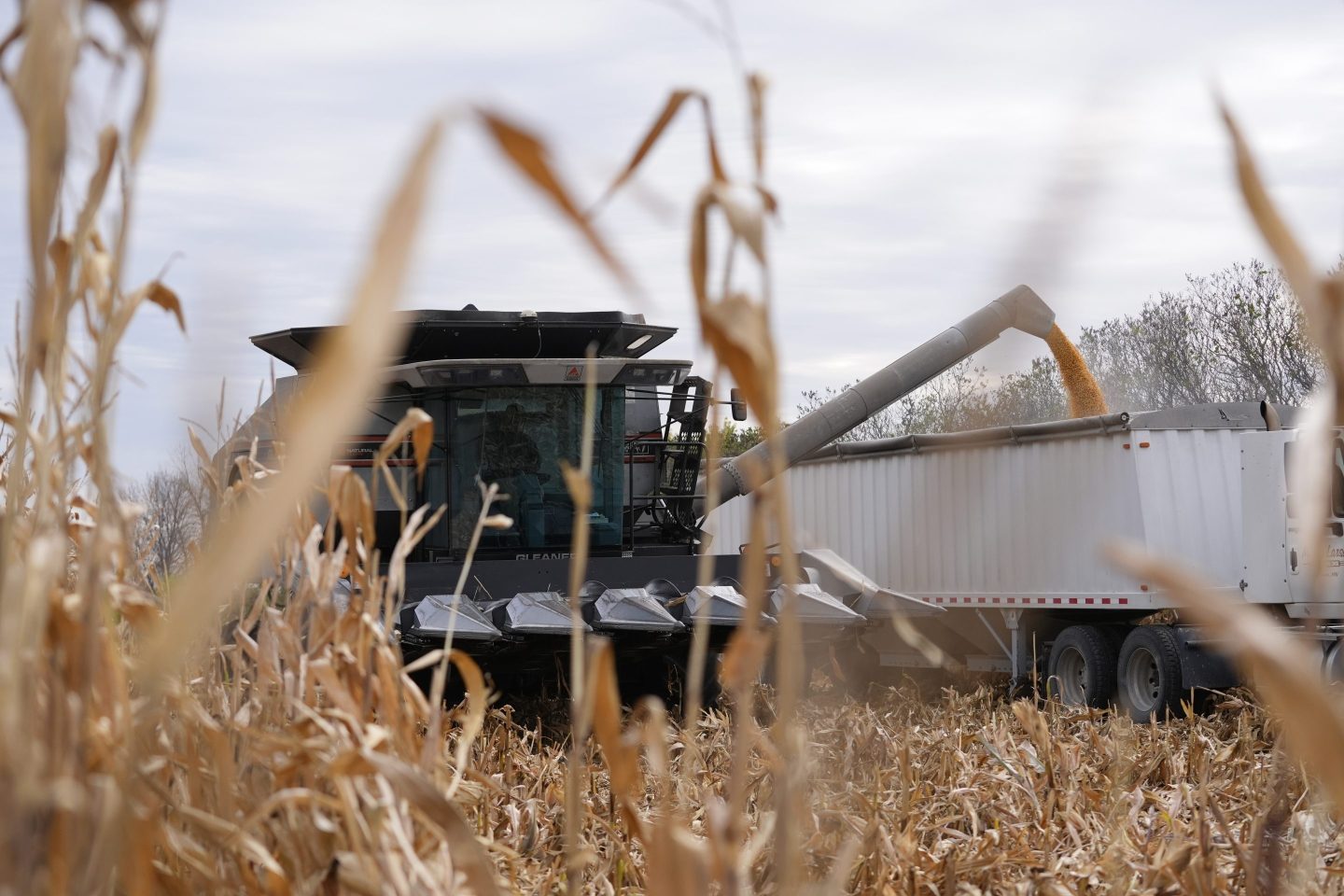 Trump asks farmers and consumers to ‘bear with me’ as they brace for unpredictable tariff hit to their wallets