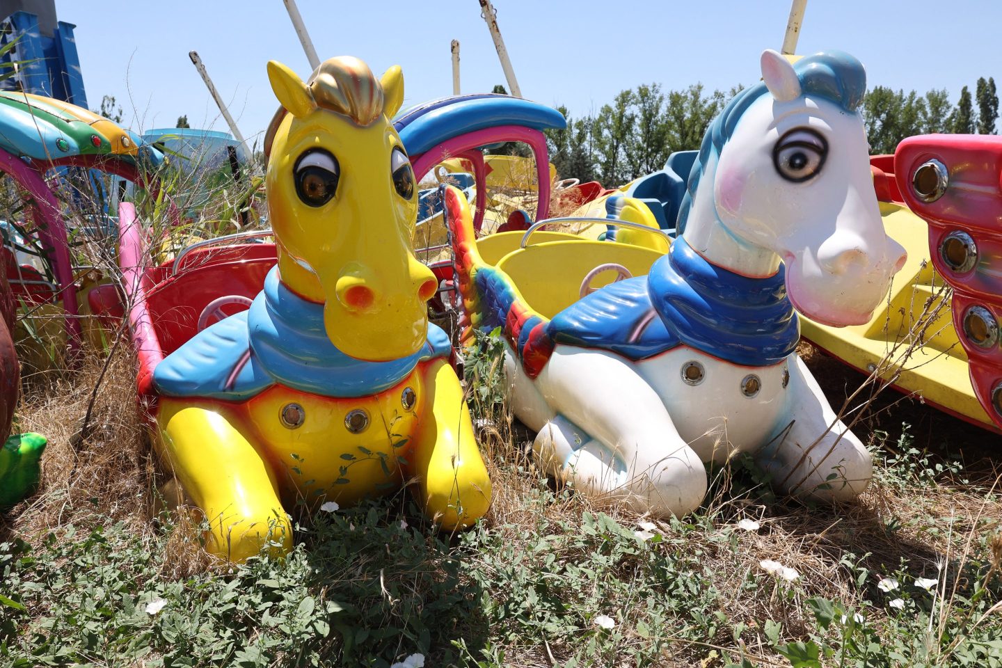 abandoned horse toys laying in the grass