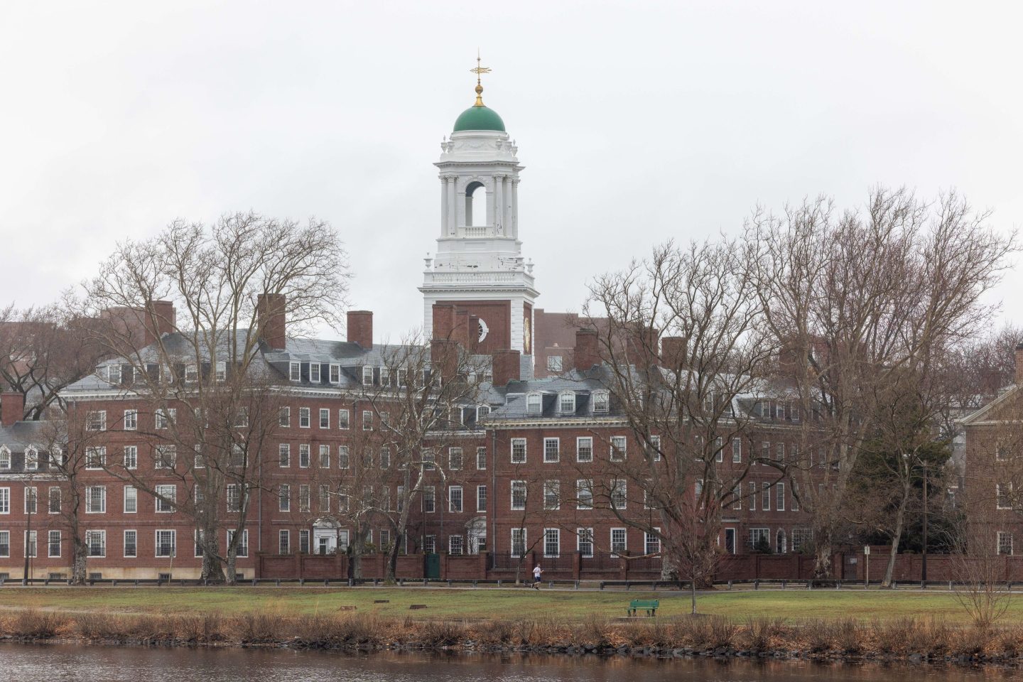 Harvard University