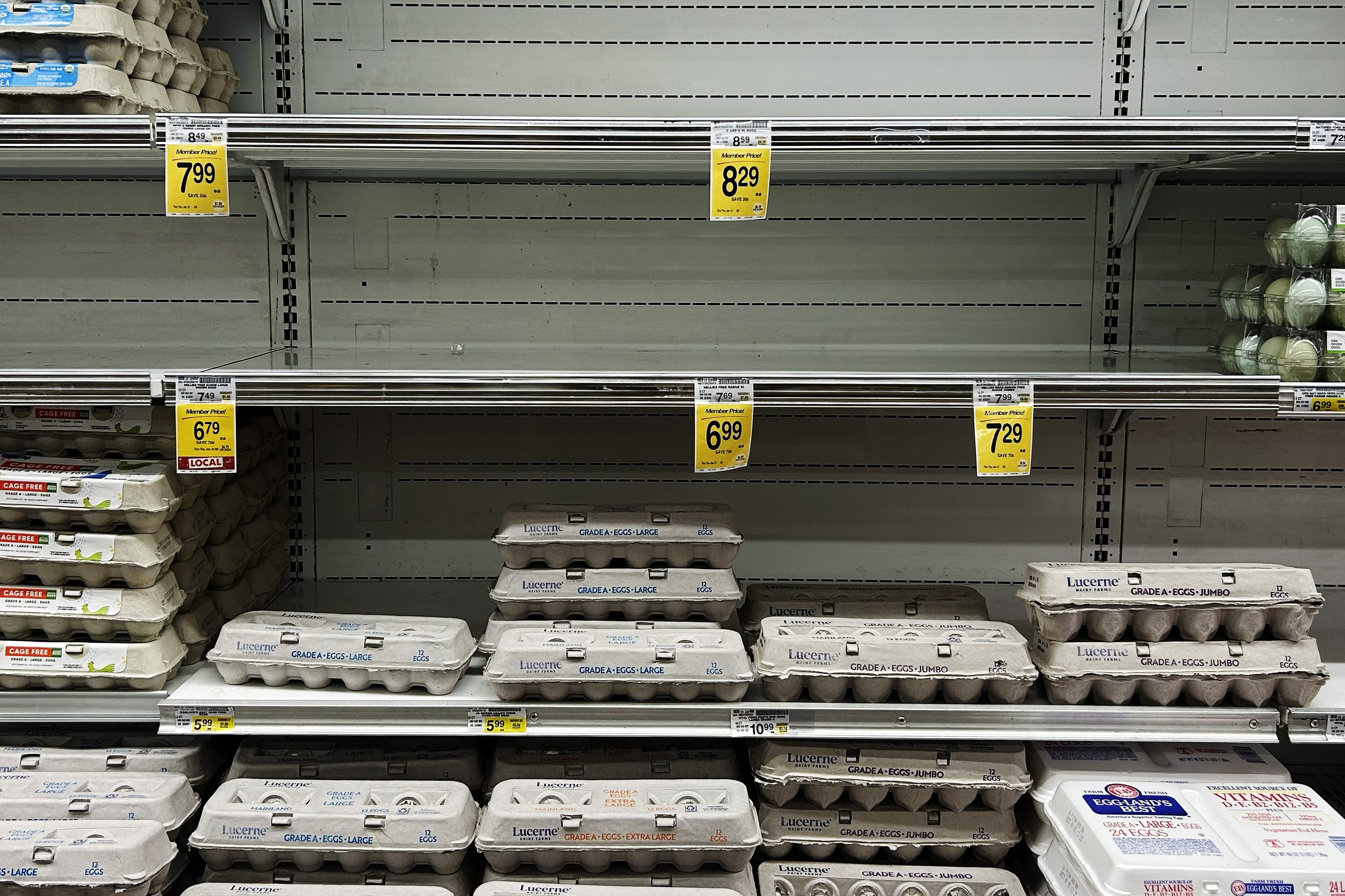 Half-full shelves in a supermarket egg section