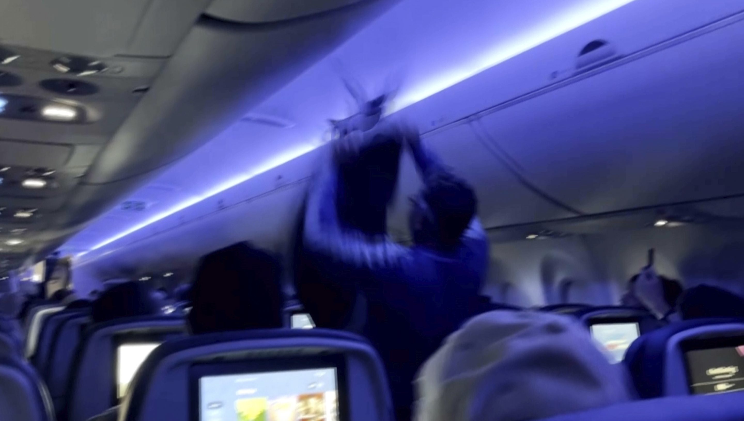 A passenger attempting to catch a pigeon flying inside the cabin of a commercial plane, in Minneapolis, Saturday, May 24, 2025.