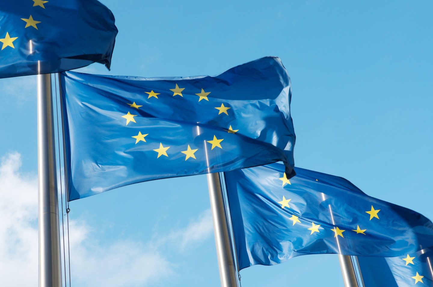 The EU should cut actual red tape, not AI safeguards