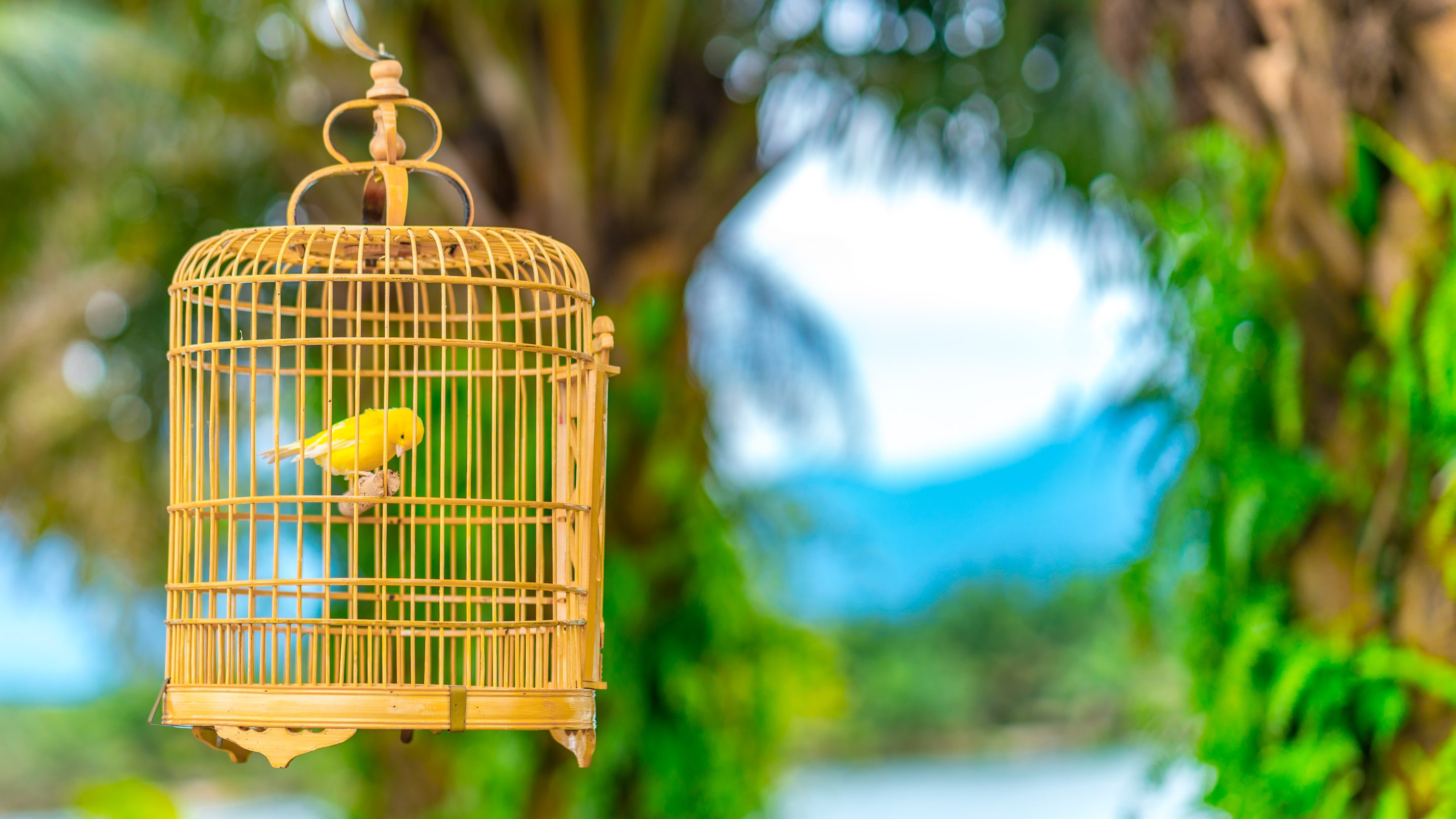 “I’m not suggesting that everyone eliminate work-life balance, but rather arguing that for ambitious young people who want to build wealth, traditional balance is a trap that will keep you comfortably mediocre,” entrepreneur Emil Barr said.