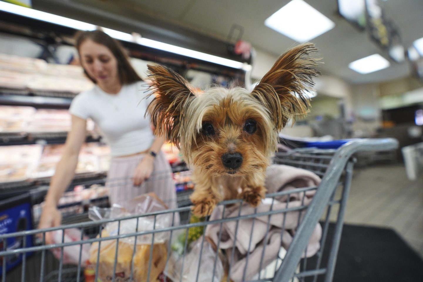 Shoppers