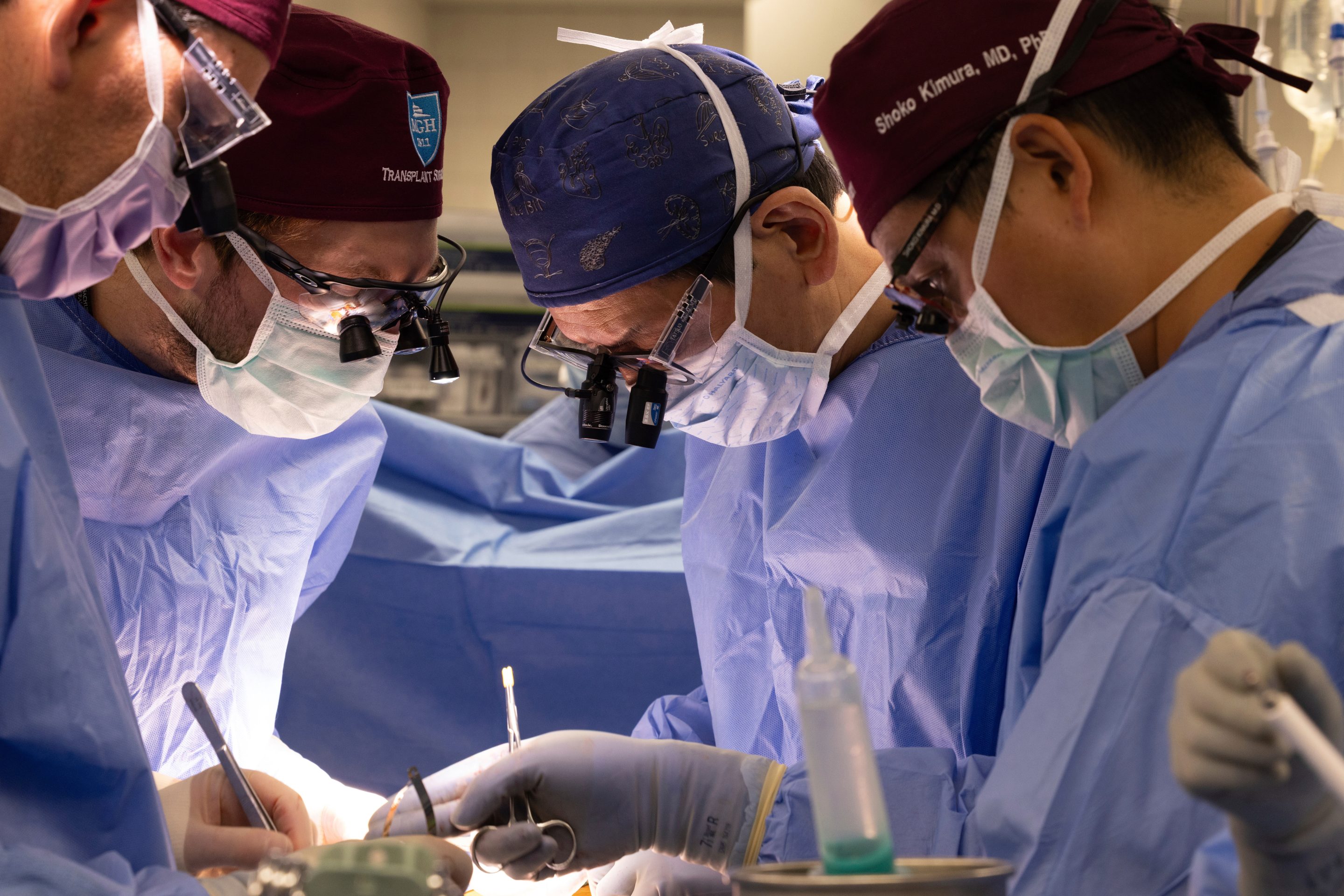 In this photo provided by Mass General Brigham, multiple surgeons in blue scrubs are handling tools to perform a pig kidney transplant. The patient is not shown in the photo.