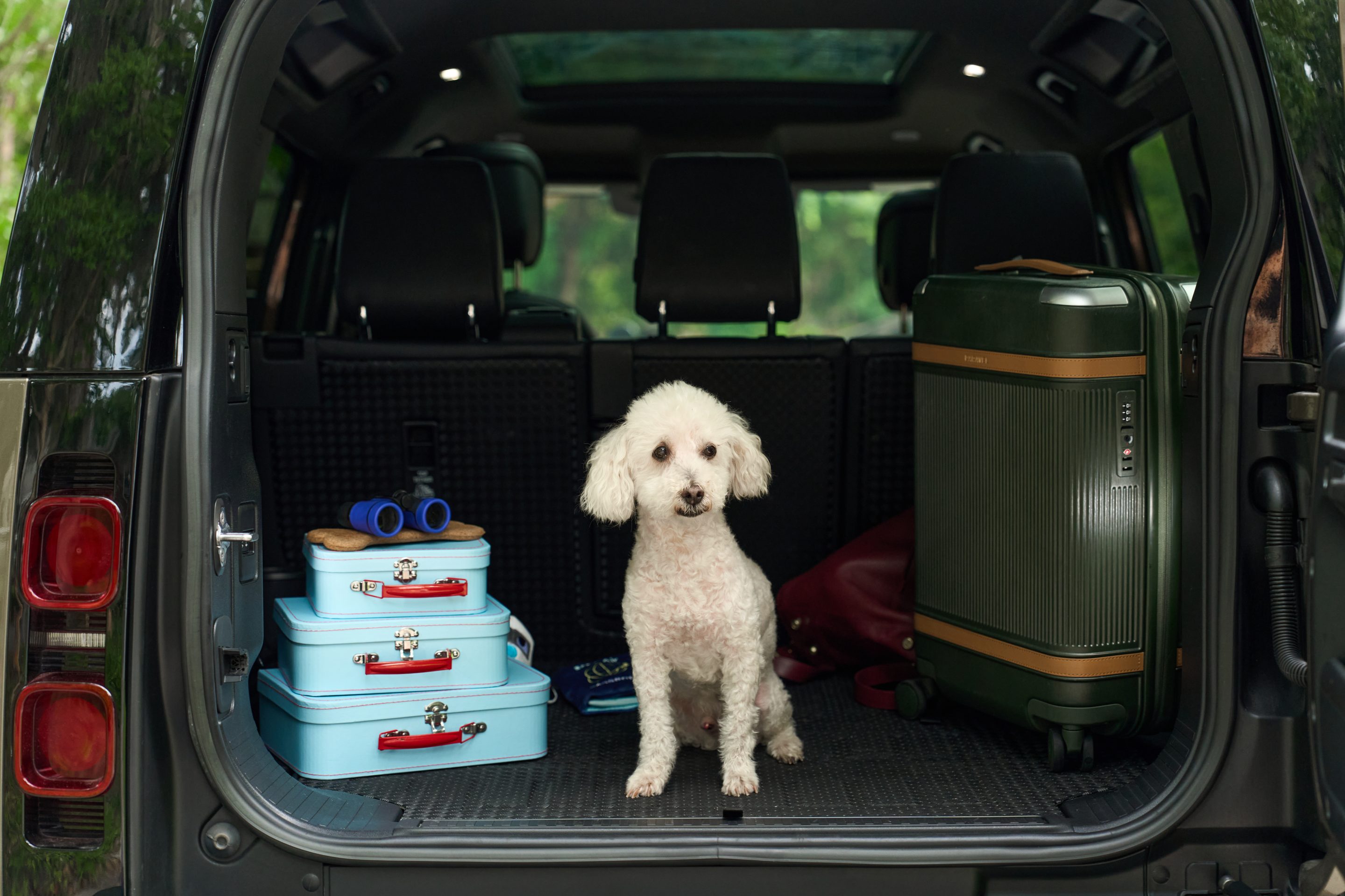 Bark Air recently introduced its Companion Concierge service.