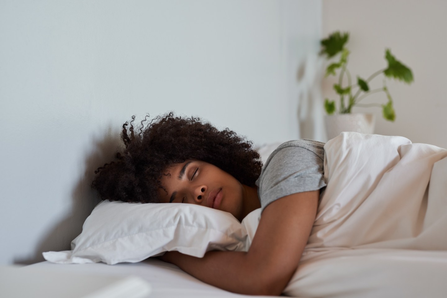 Harvard professor calls out ‘lie’ of needing 8 hours of sleep a night, says it’s Industrial Era ‘nonsense’