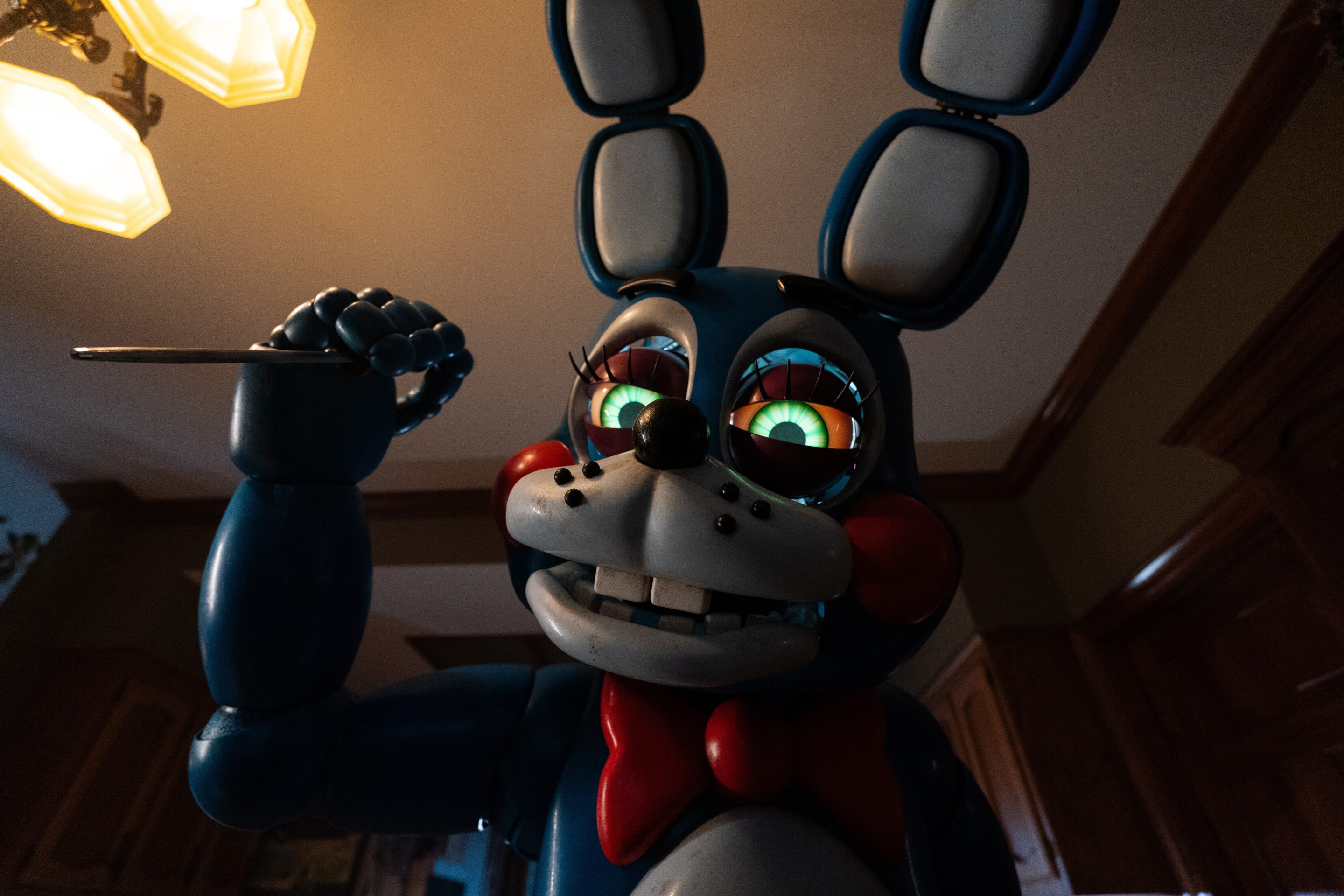 Freddy