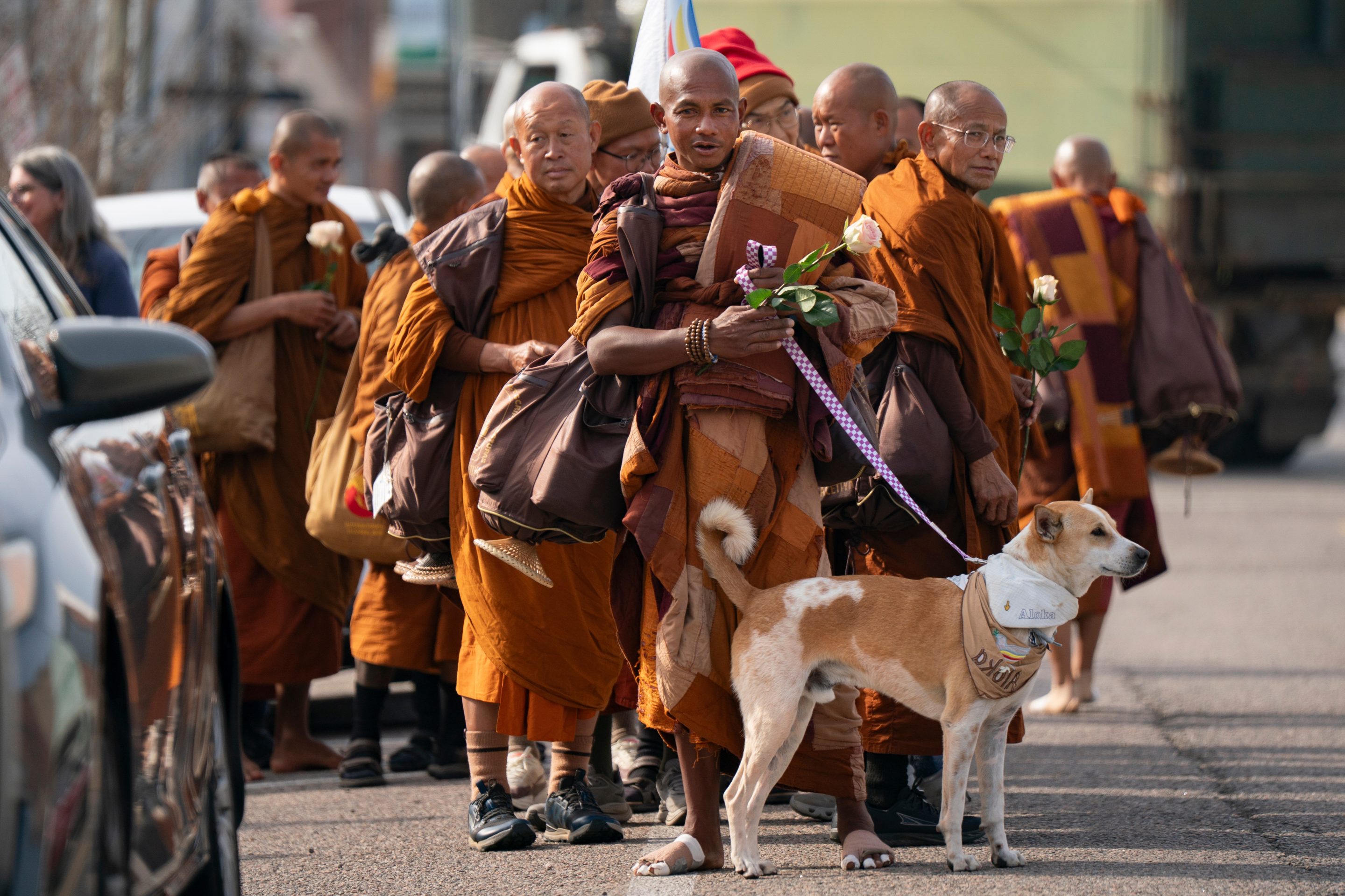 Buddhist monks who are participating in the, "Walk For Peace," are seen with their dog, Aloka, Thursday, Jan. 8, 2026, in Saluda, S.C.