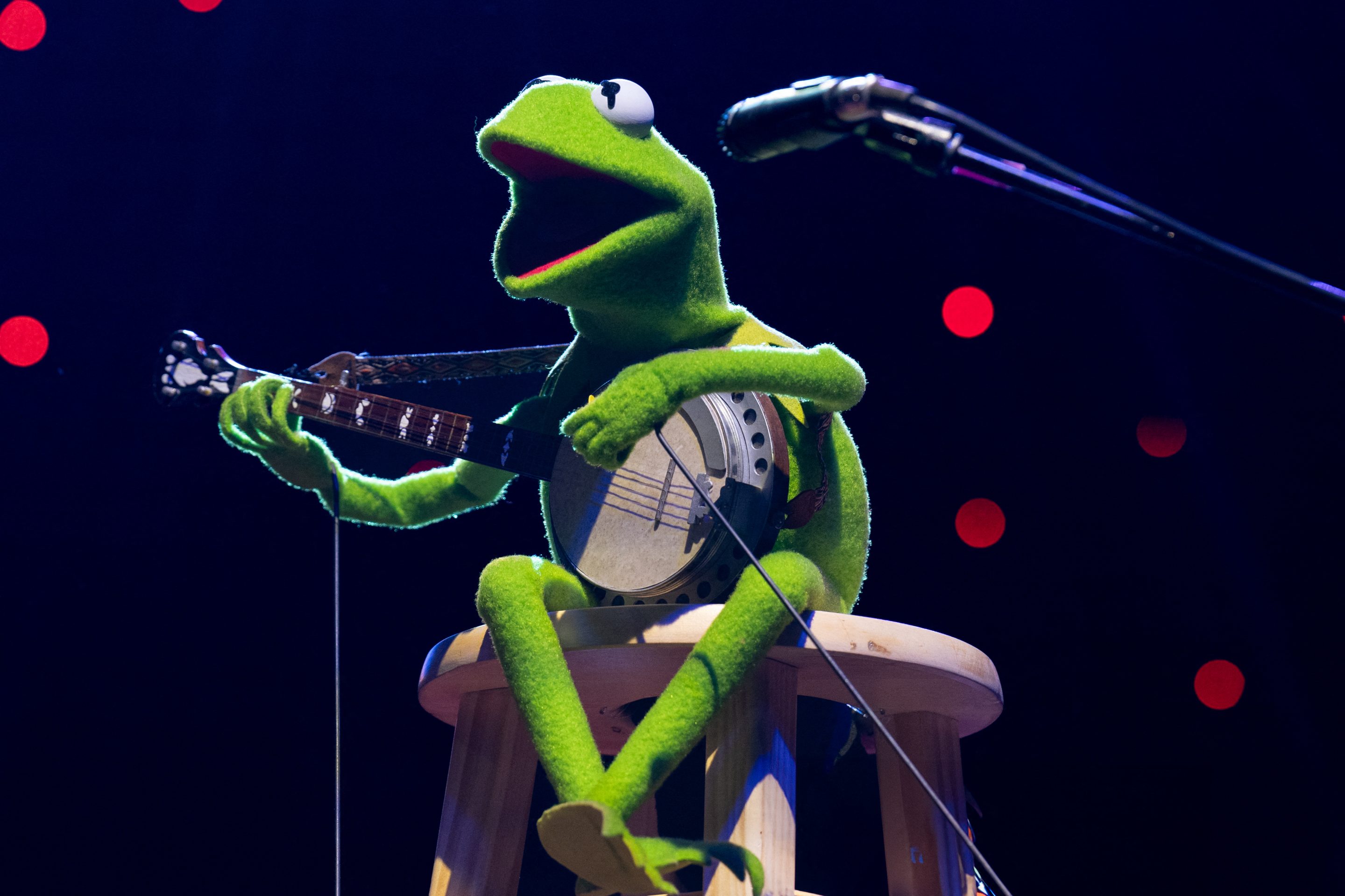 kermit