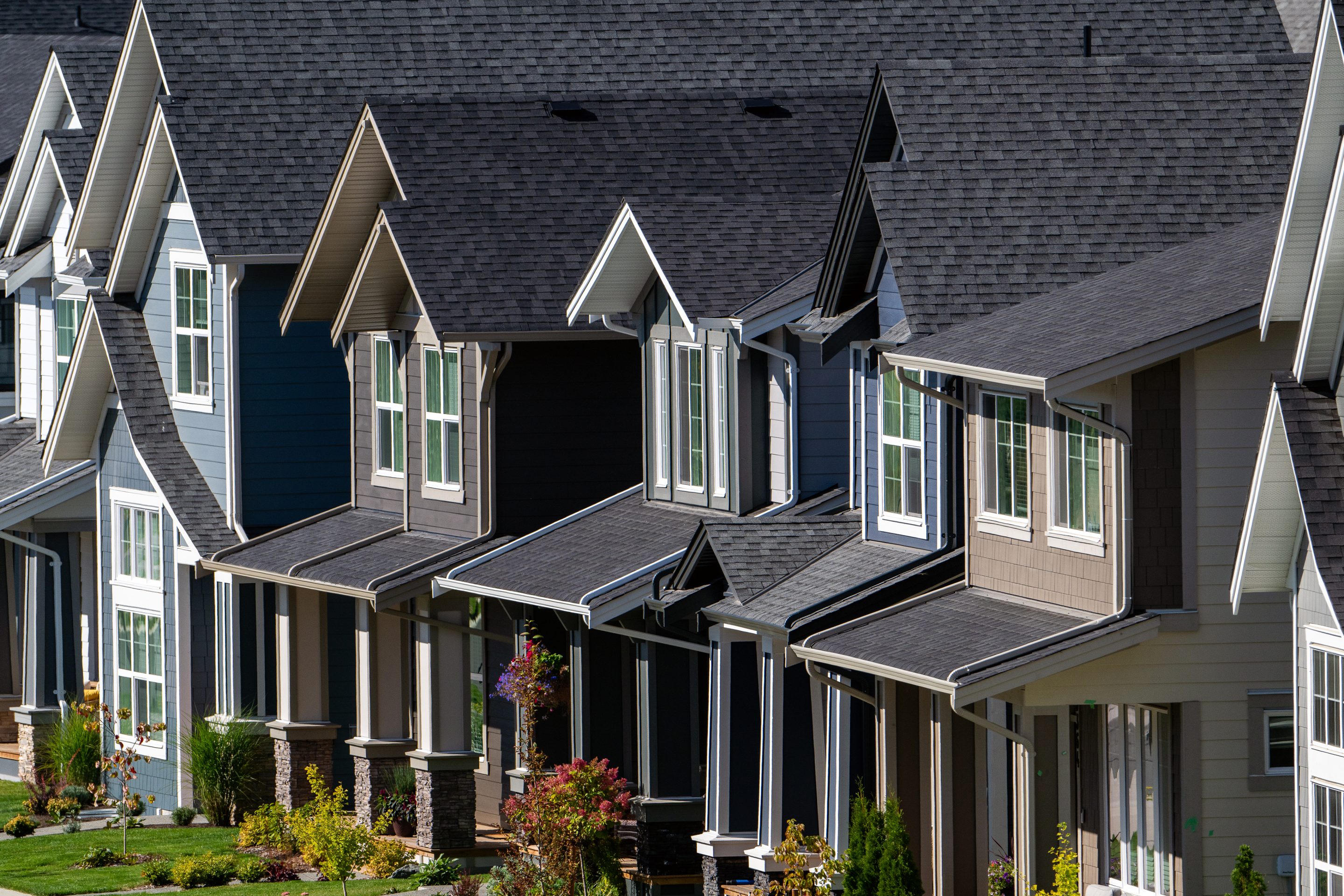 Houses in a neighborhood.