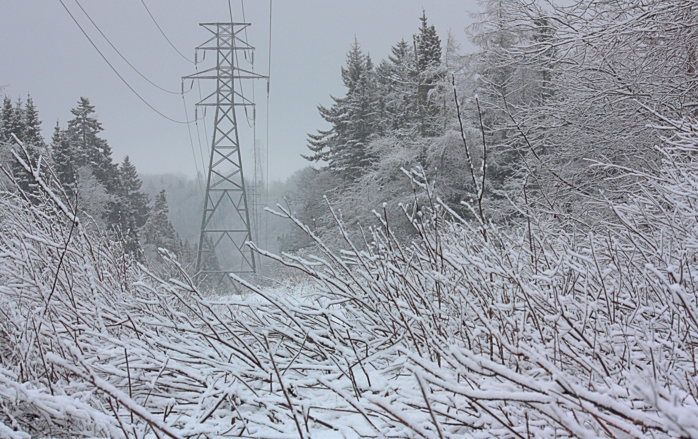 electricity