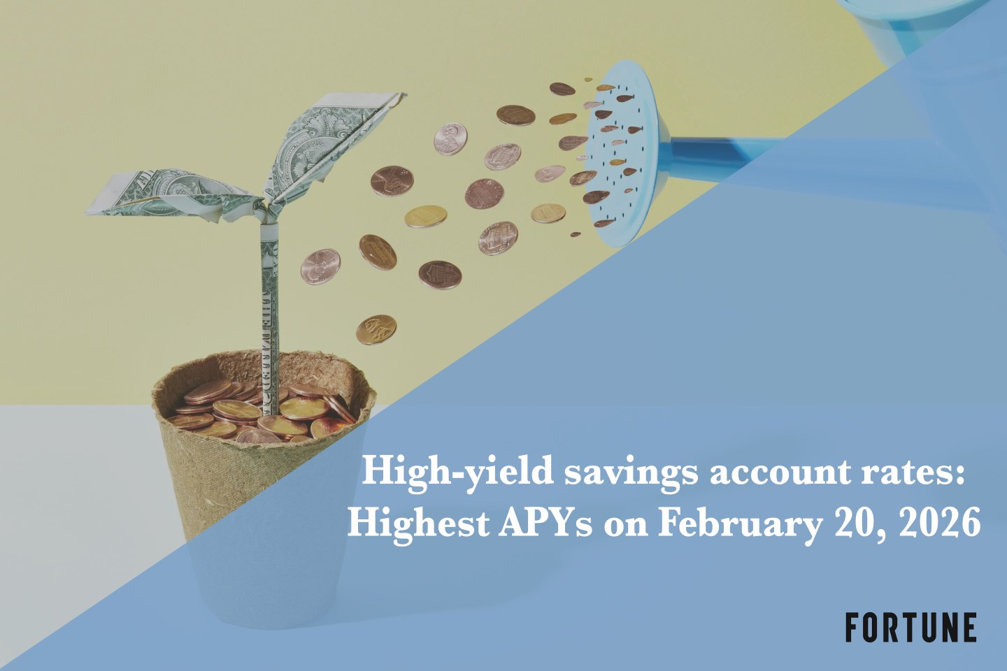 The top high-yield savings rates: Up to 5.00% on Feb. 20, 2026